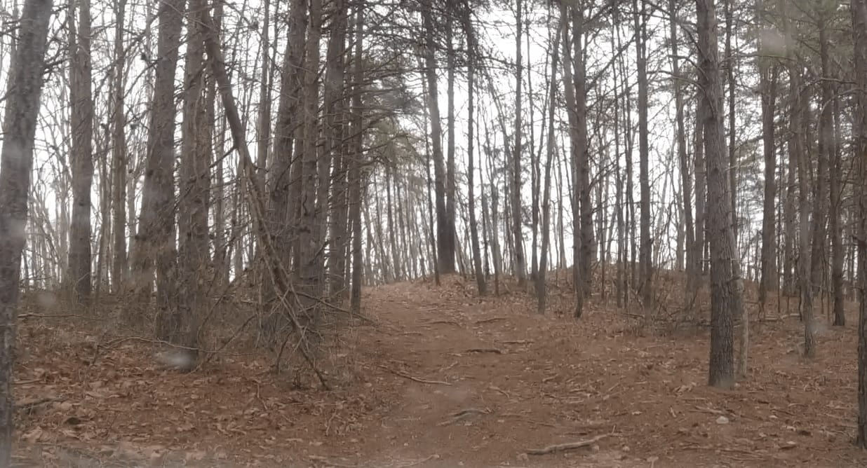 Big Branch Hill