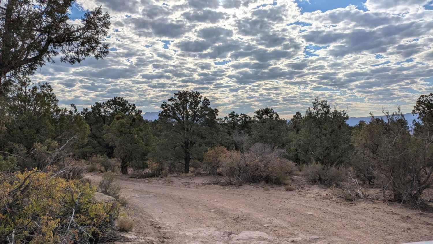 Flying Monkey Trail Access