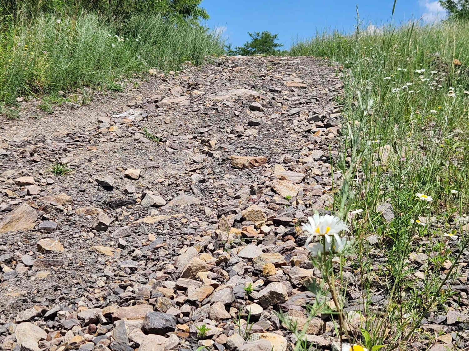 Trail 5I - Rock Run Recreation Area