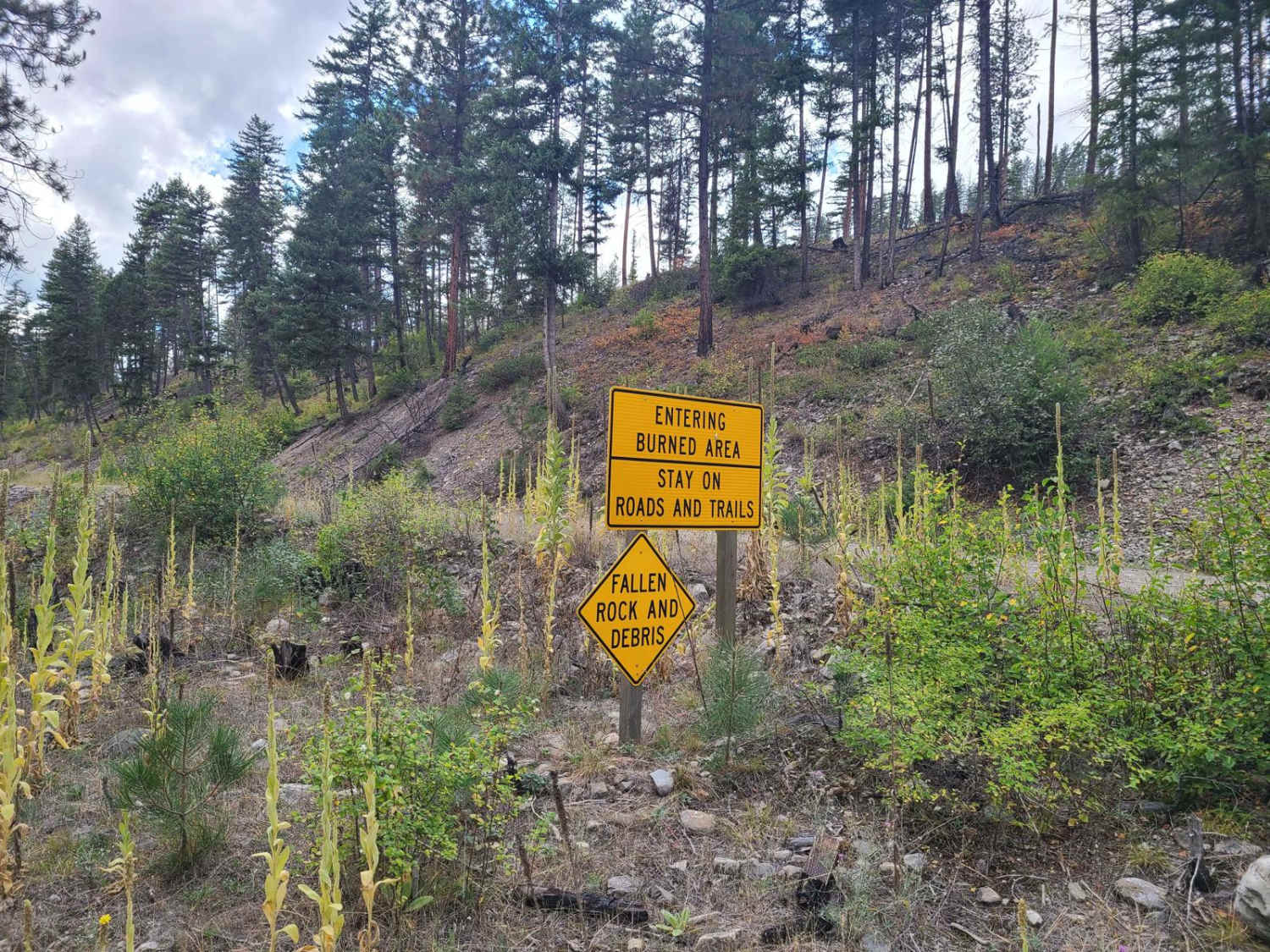 West Fork of Swamp Creek