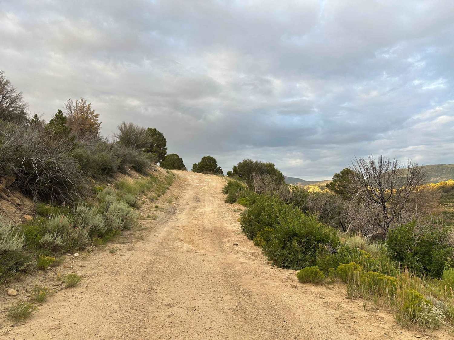 Old Woman Road