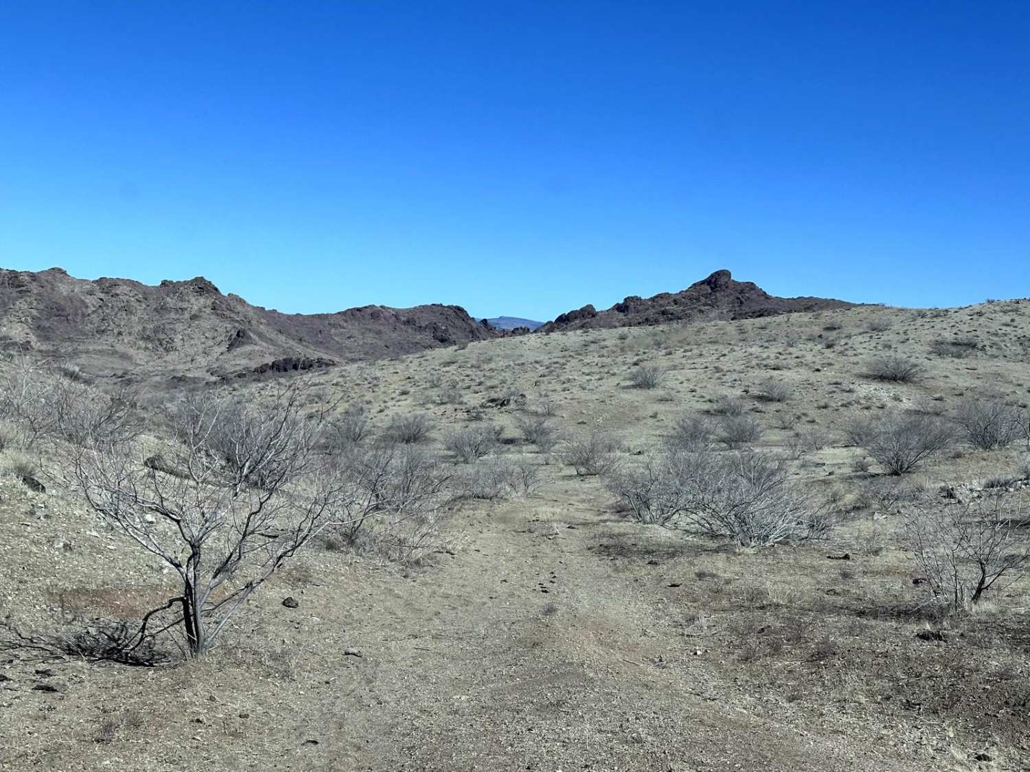 Middle Water Spring Trail