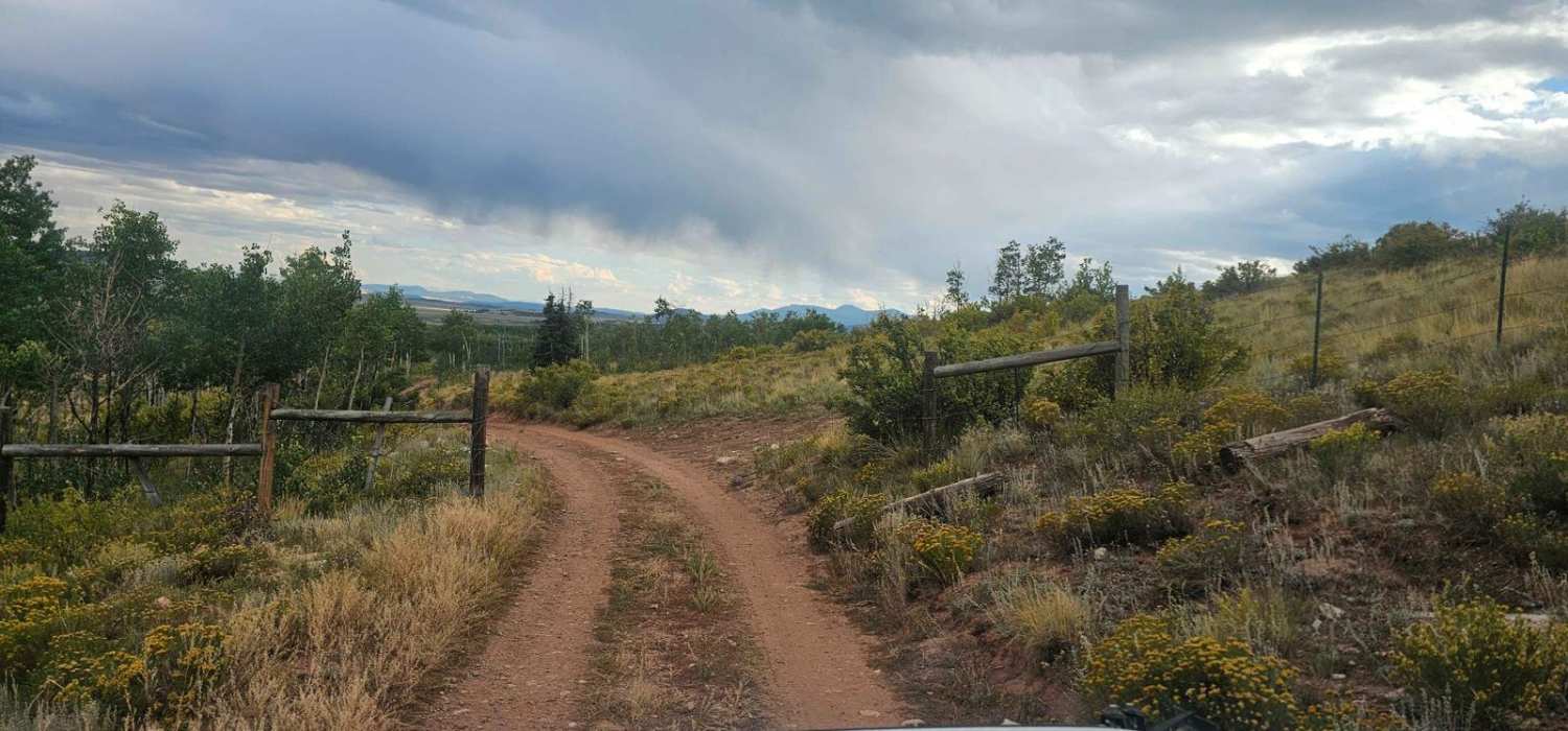 Crooked Creek Road