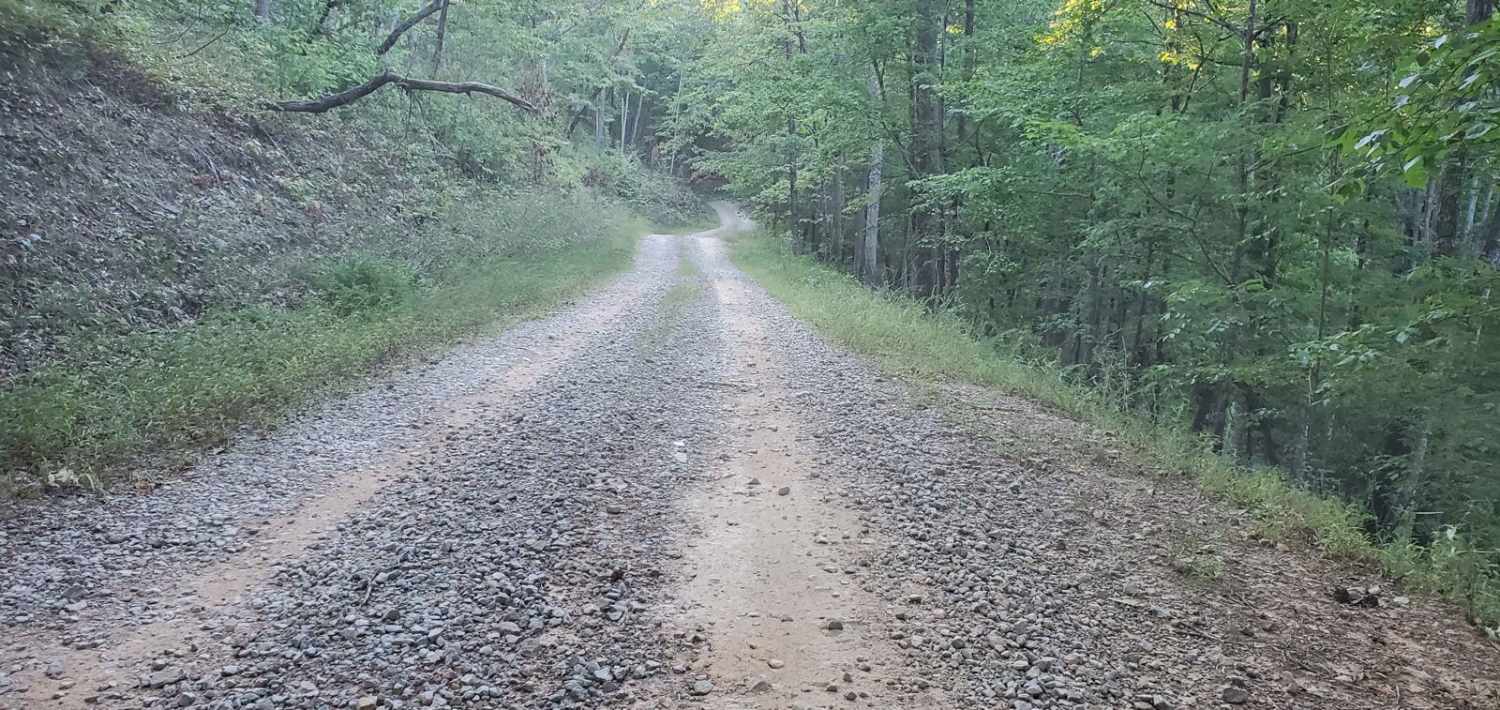 Hammond Gap - FSR 259