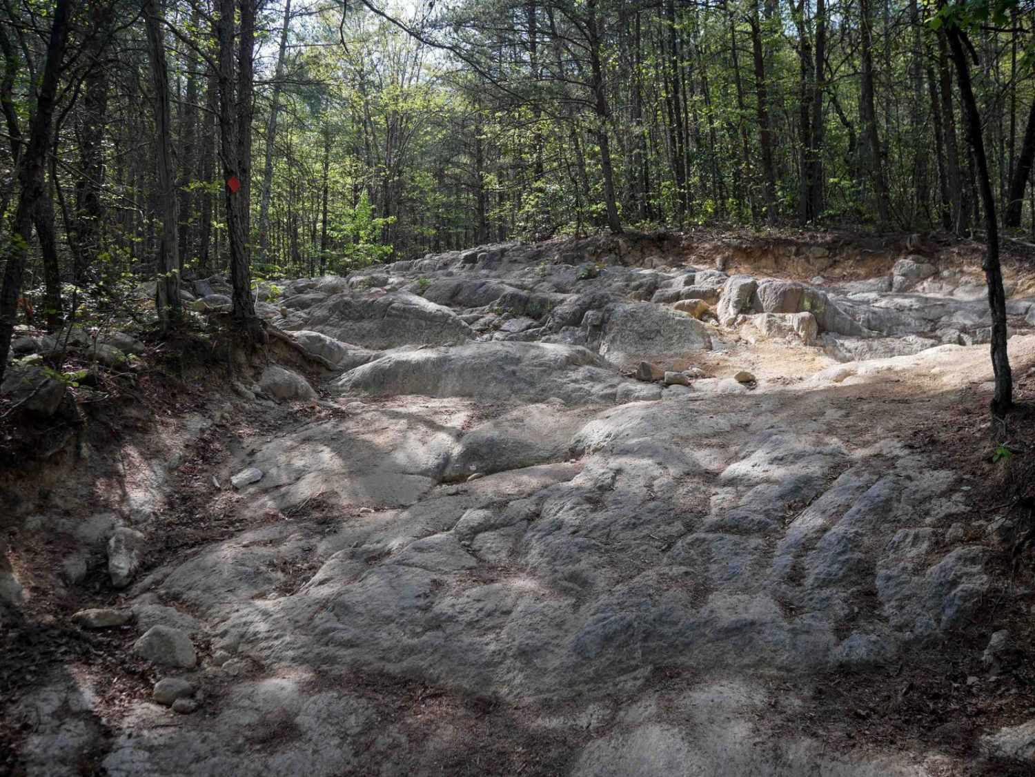 Trail 9 - 50 Inch