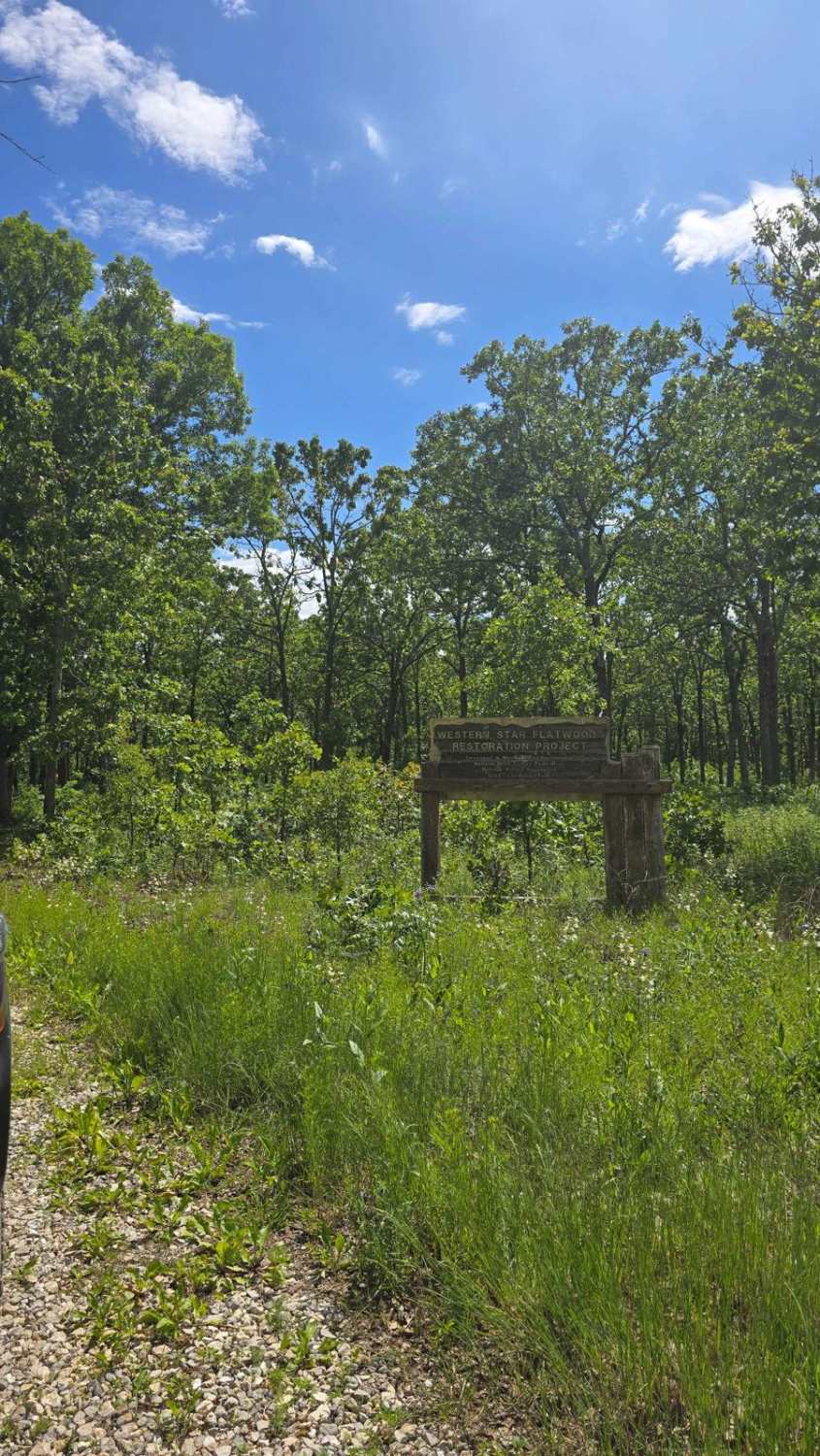West Star Flatwoods - FS 1571