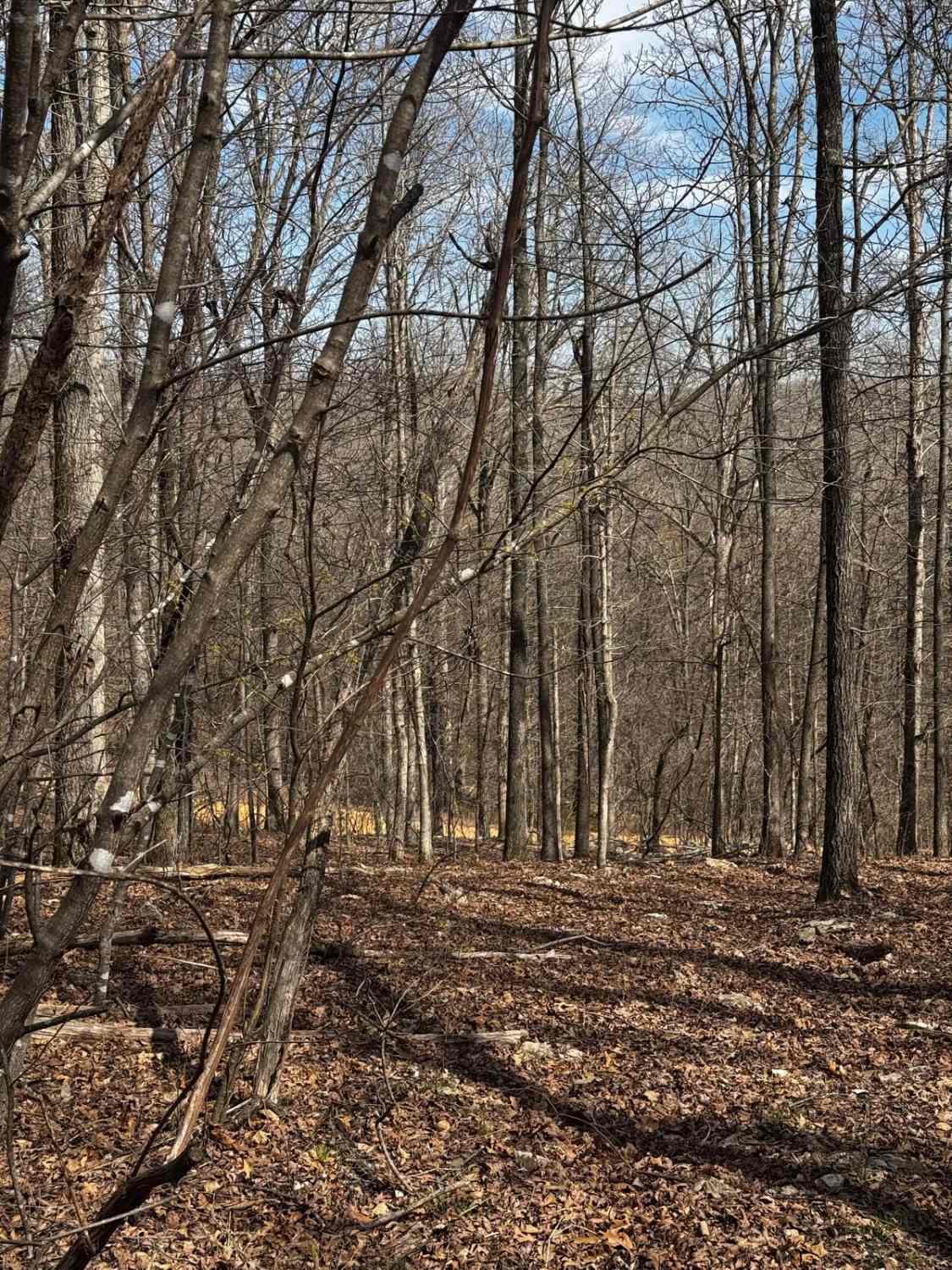 Hillside Track 3