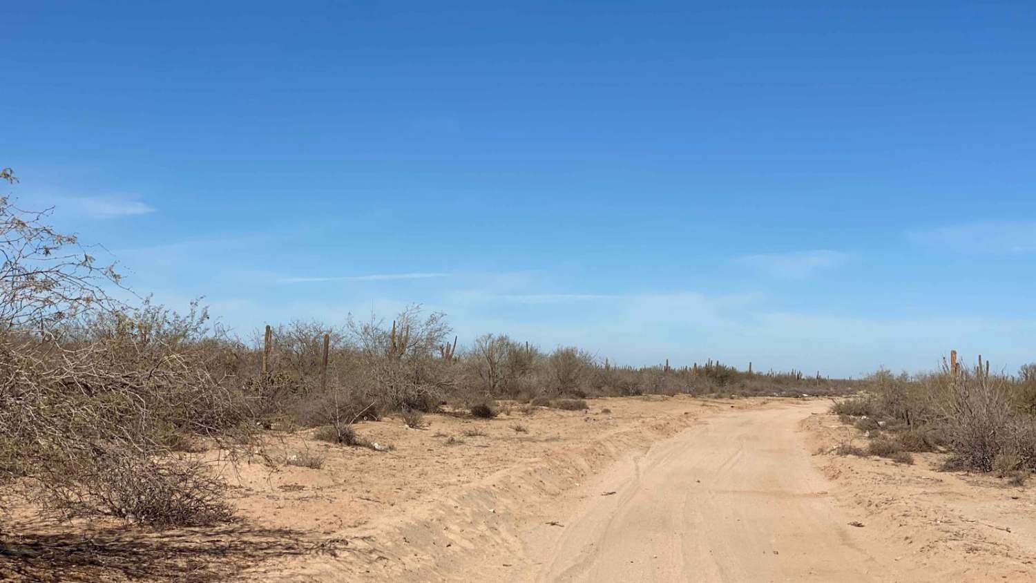 New Road Meliton