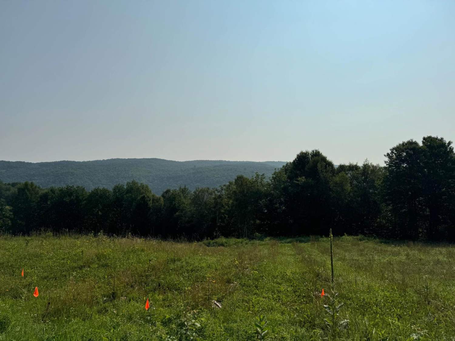 Explore Vermont Brookfield to Wells River
