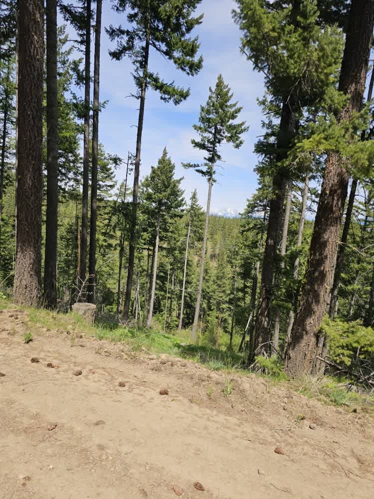 Morris Canyon - NF 629