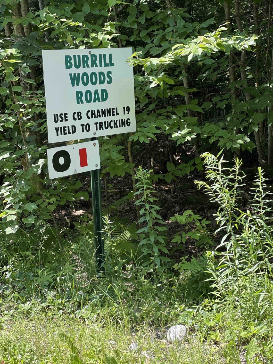 Burrill Woods Road