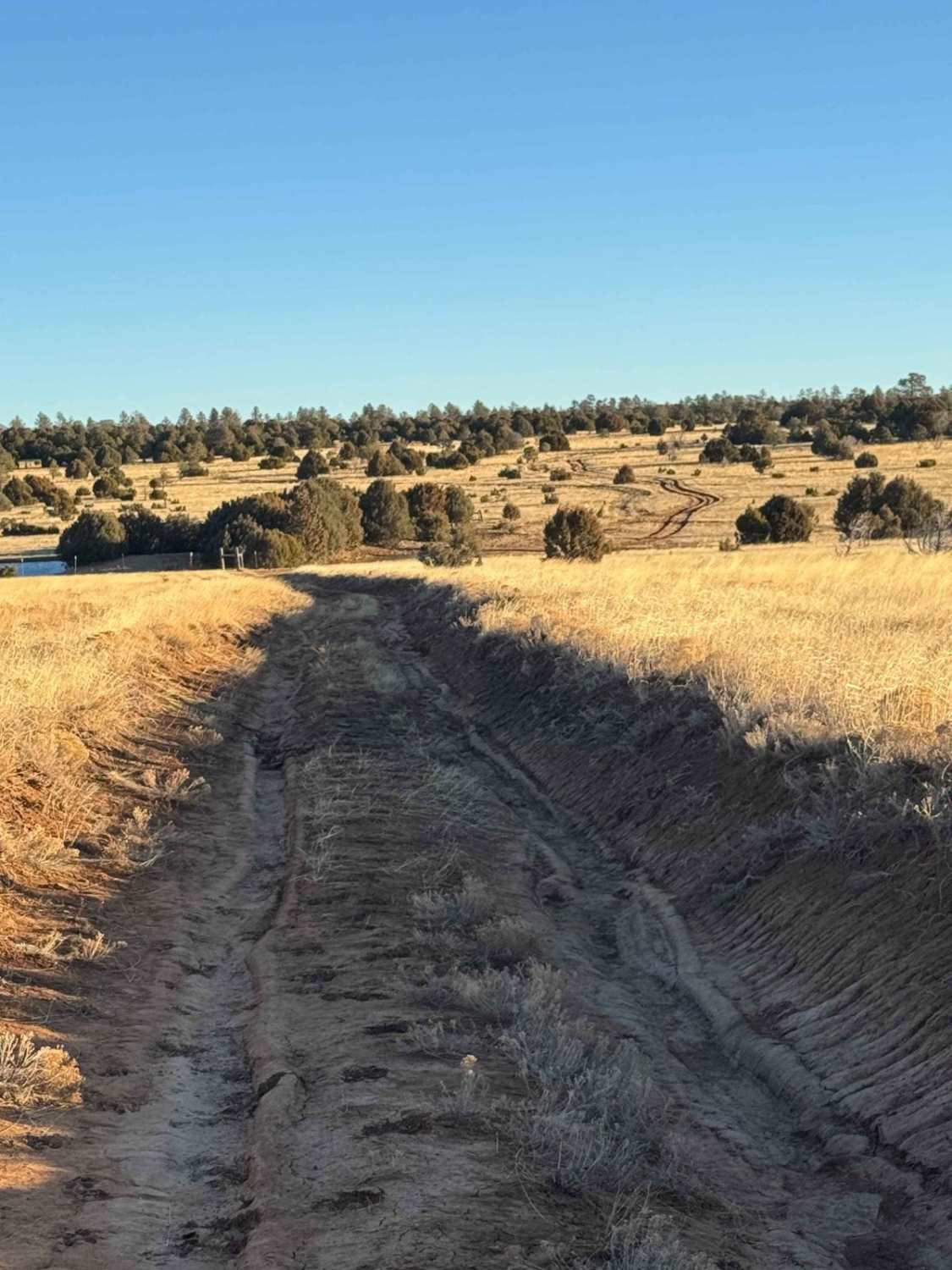 Cattle Run Pass 