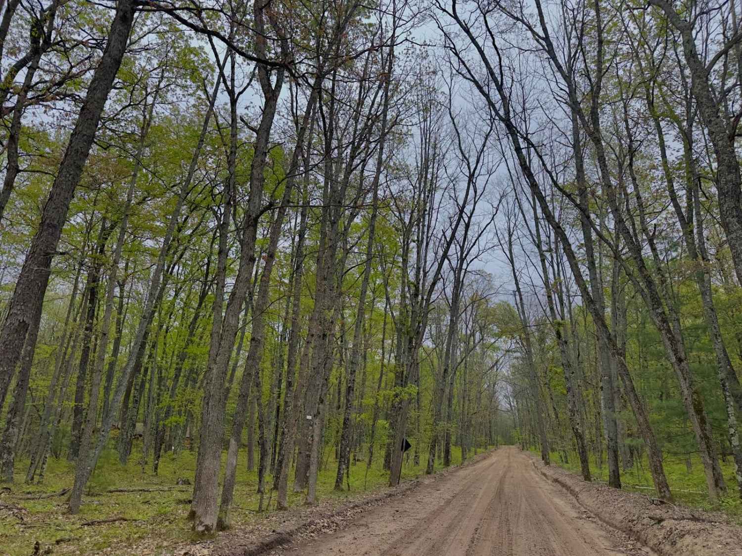 8 Mile Road