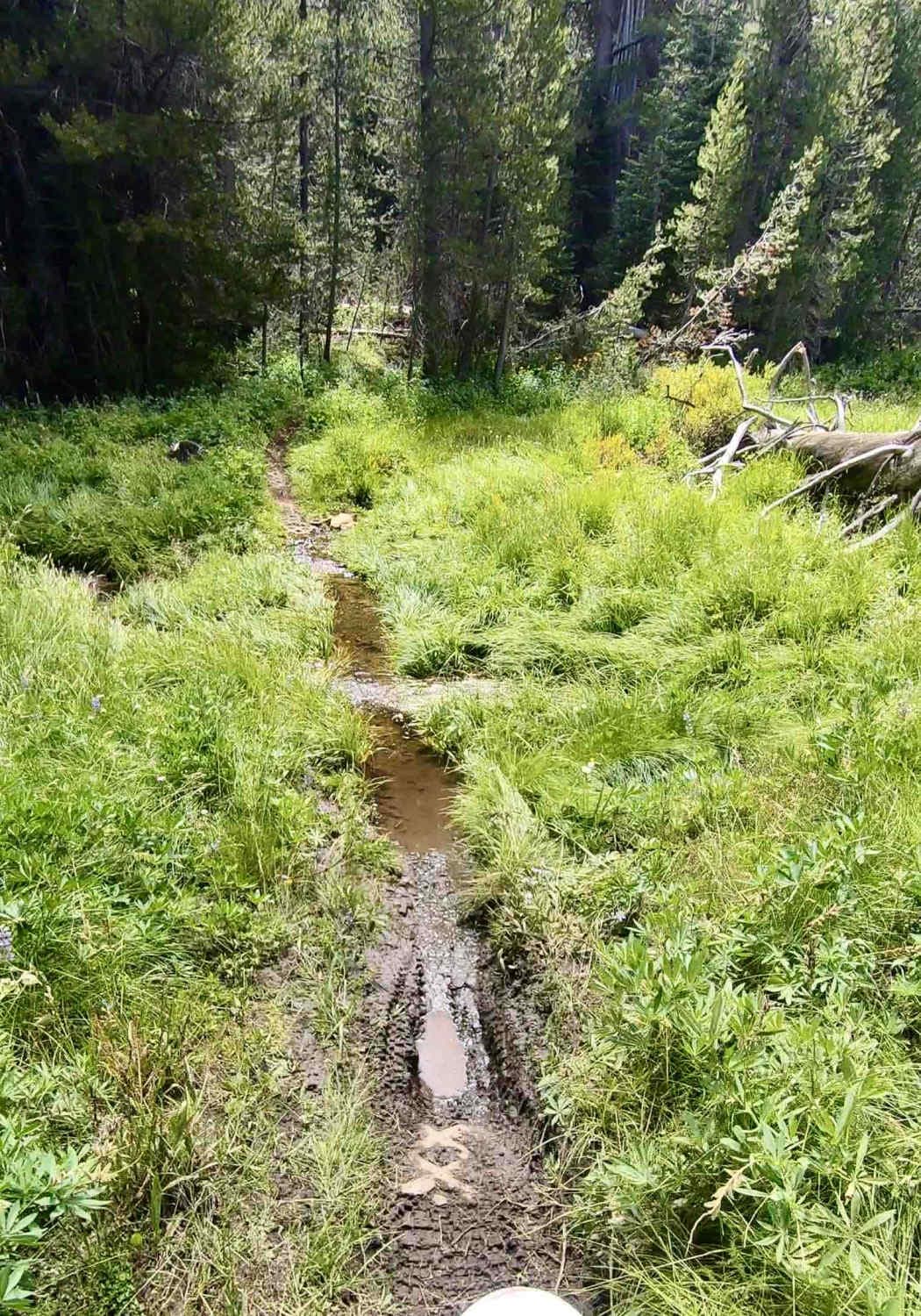 Sherman Pass