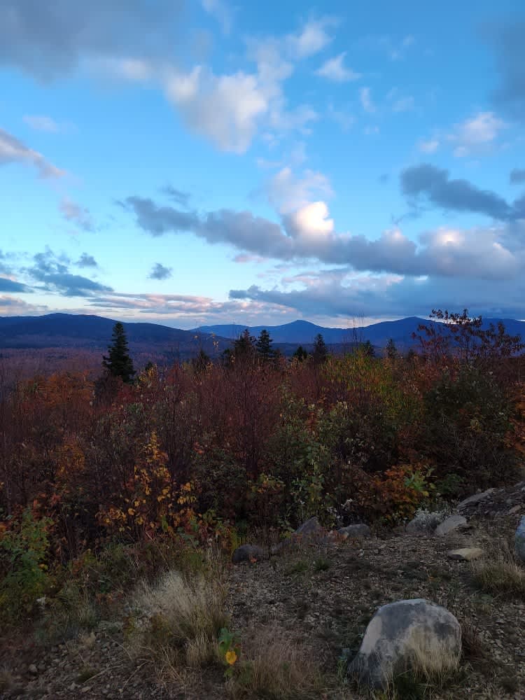 Quill Hill