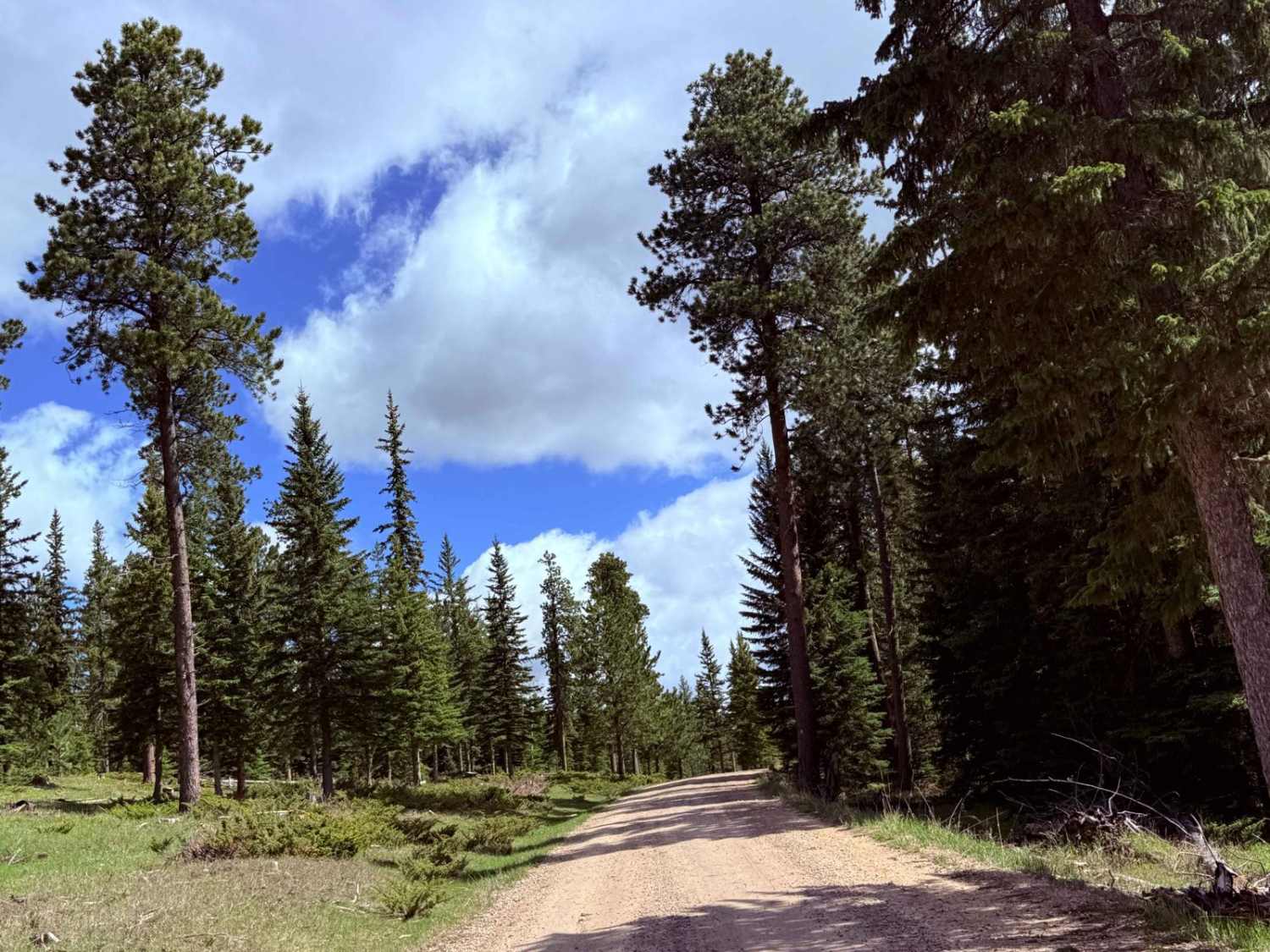 Besant Park Road - FS 206