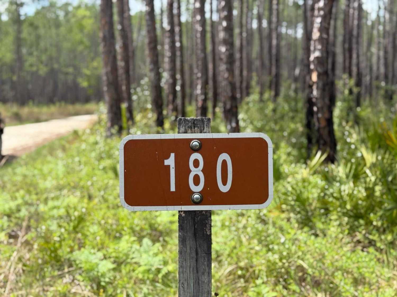 Carr - FS 180