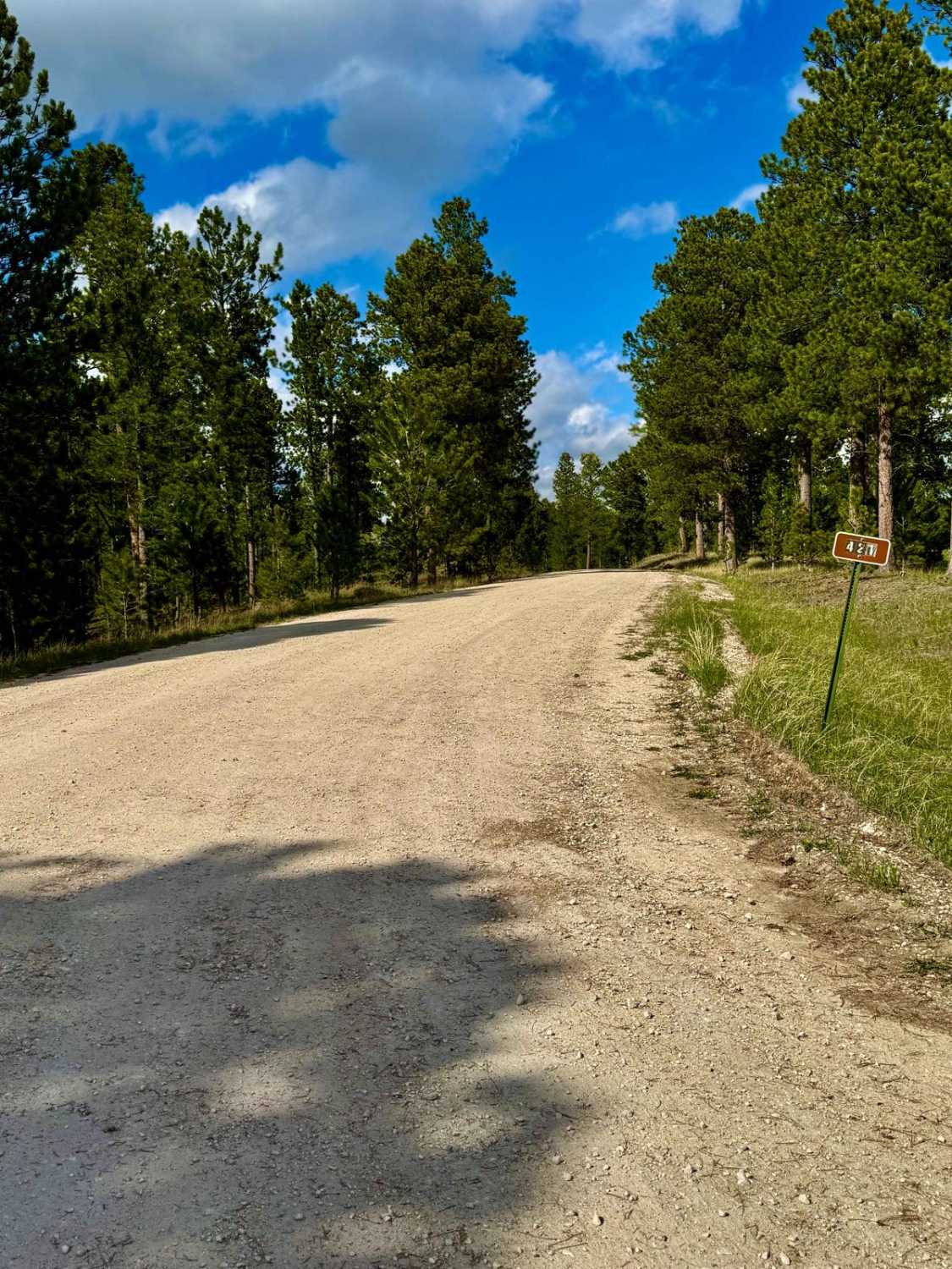 South Shore - FS 421