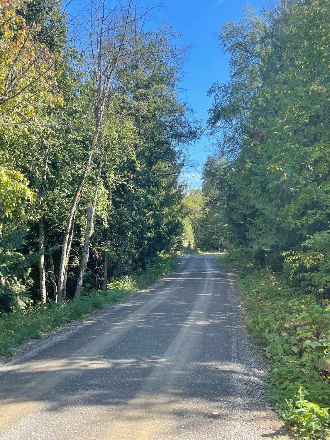 Mineral Point - 532