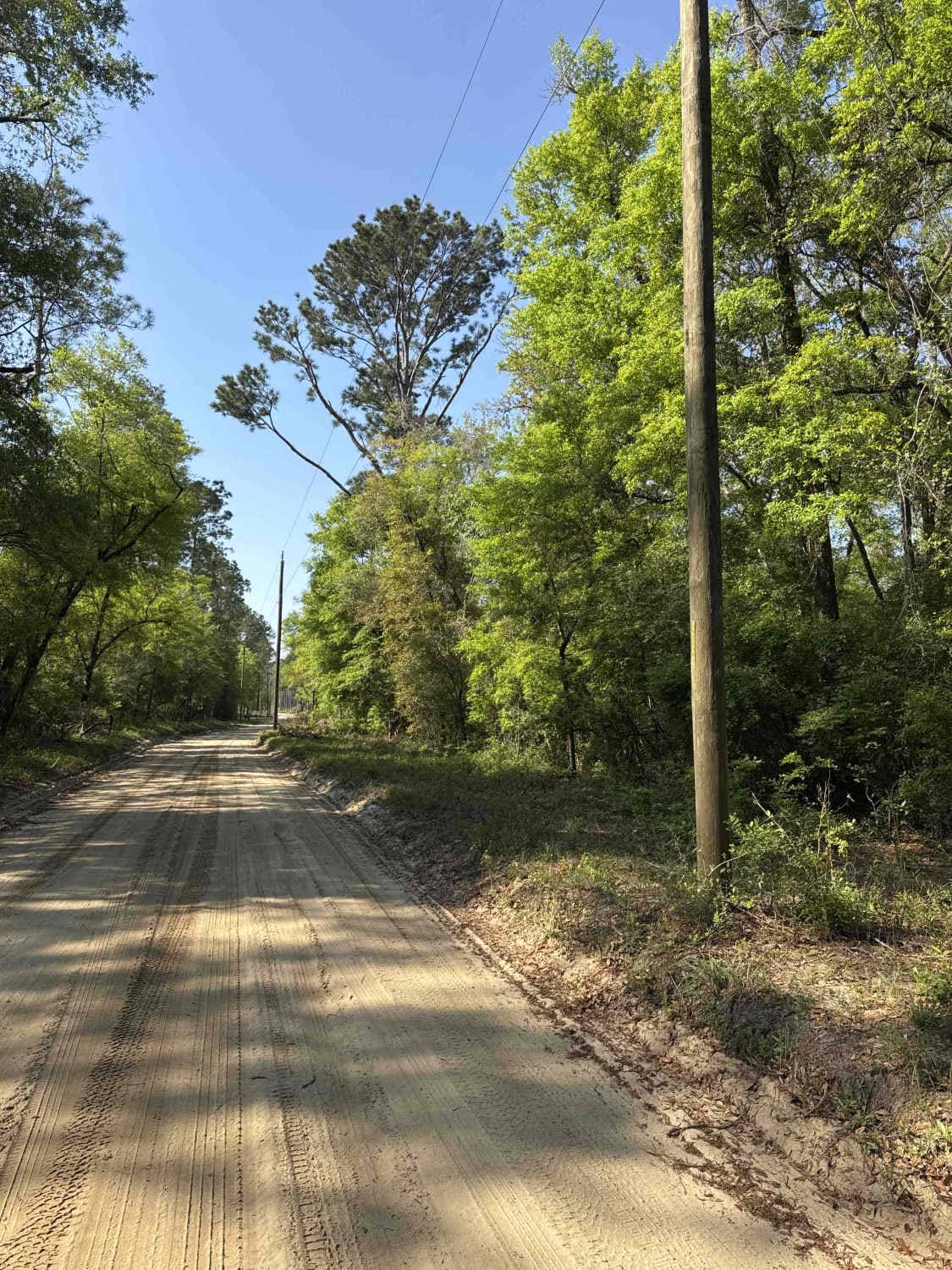 Bostic Pelt-Lawhorn Mill - Apalachicola FR 356
