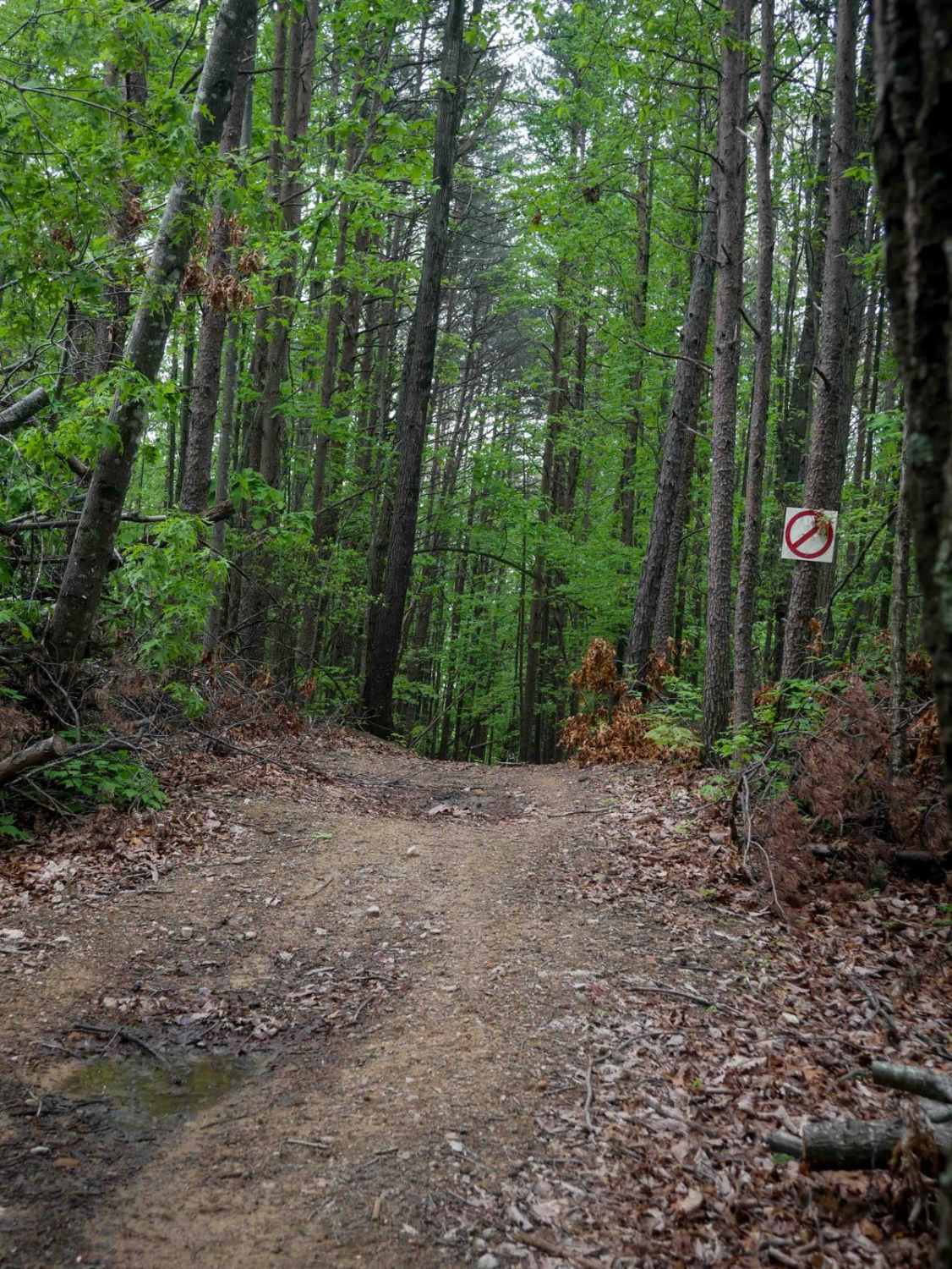 Shortcut