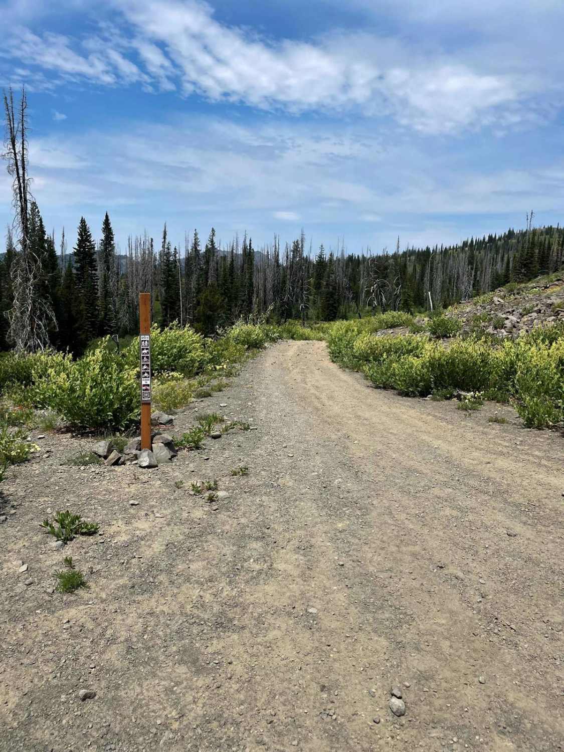 Elk Lake ATV