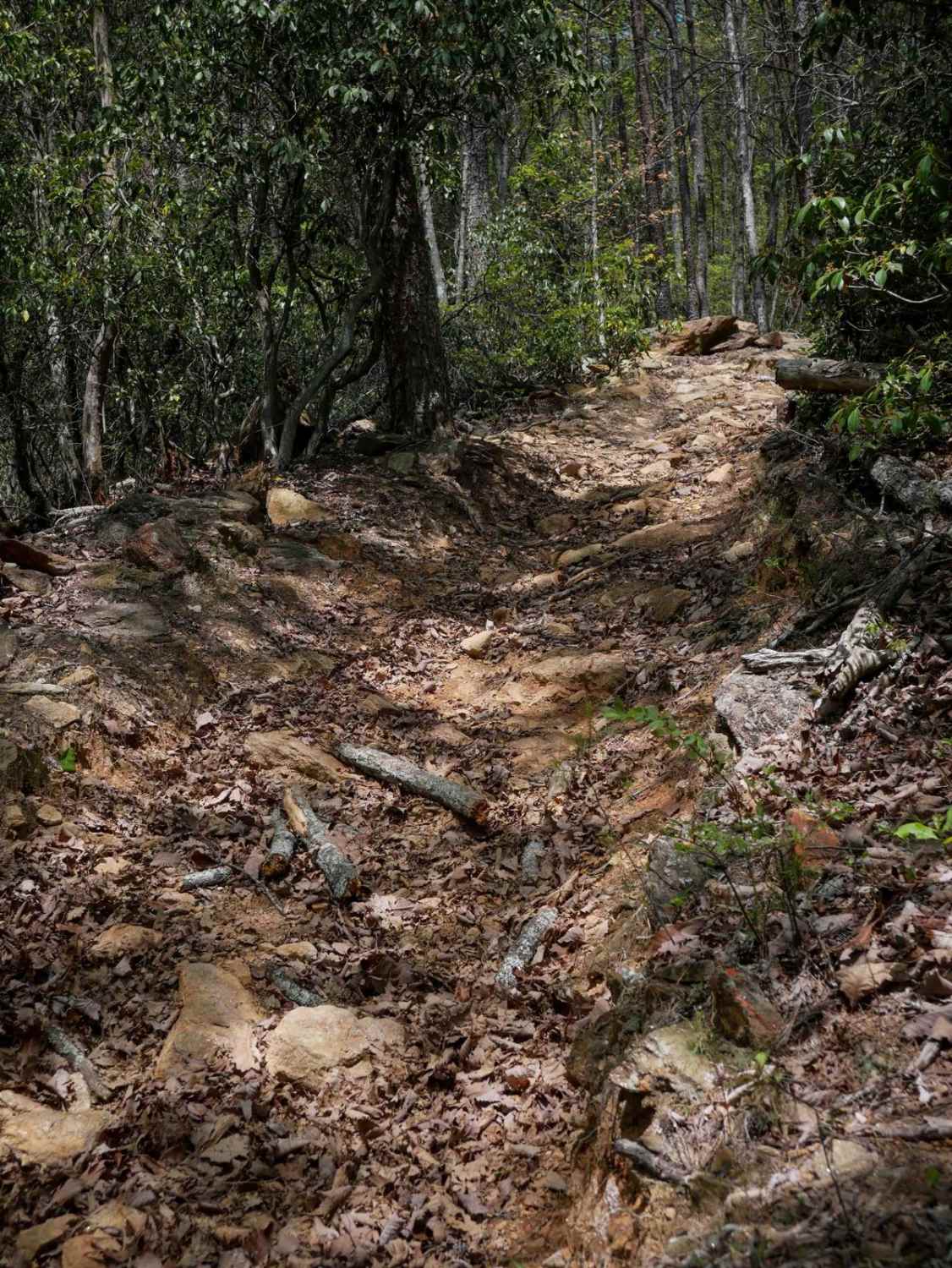 Rattlesnake Trail A