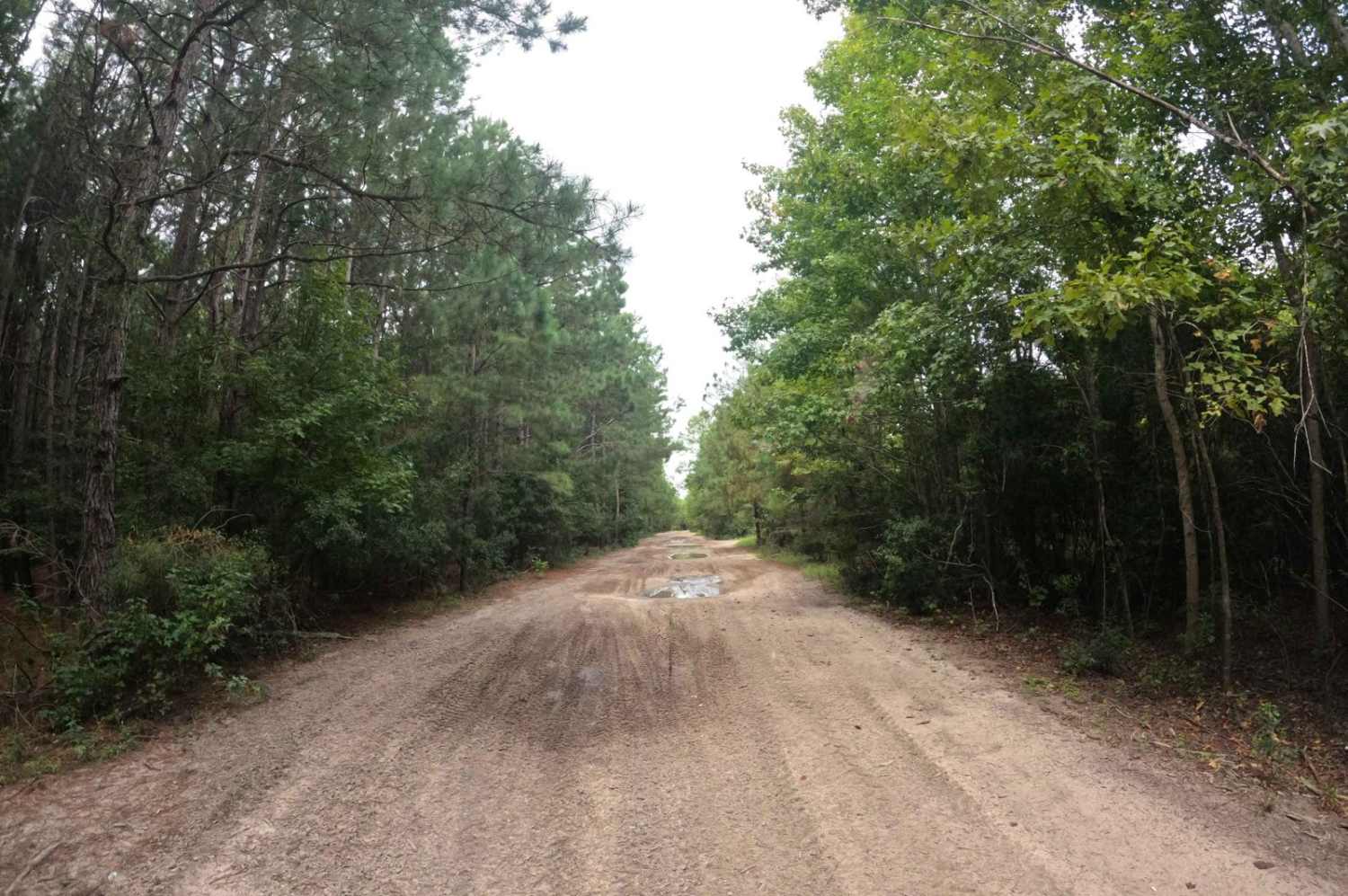 Beaten Path