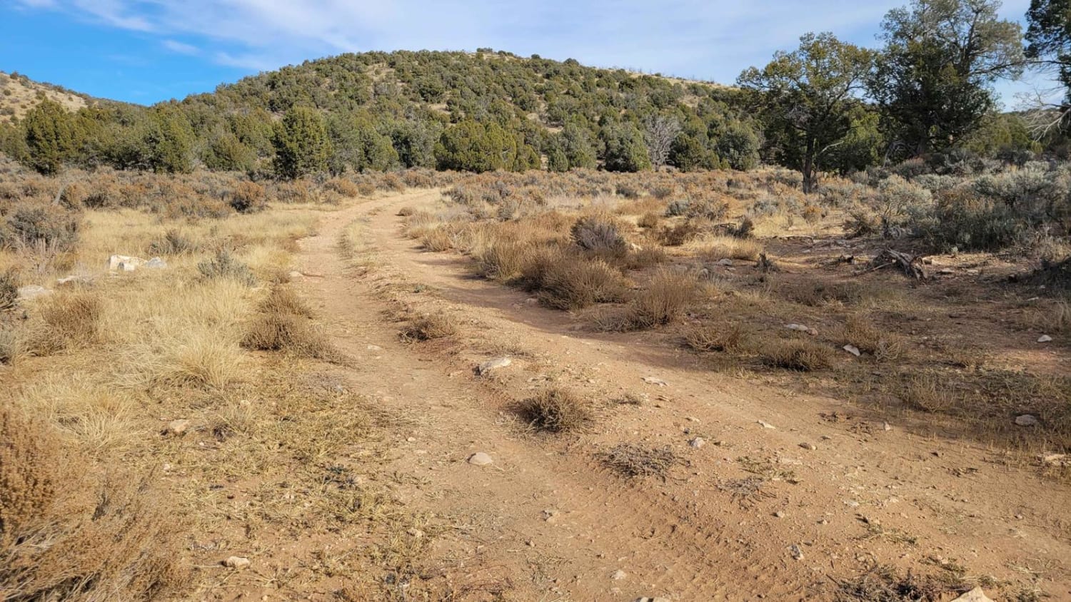 BLM Road 1620