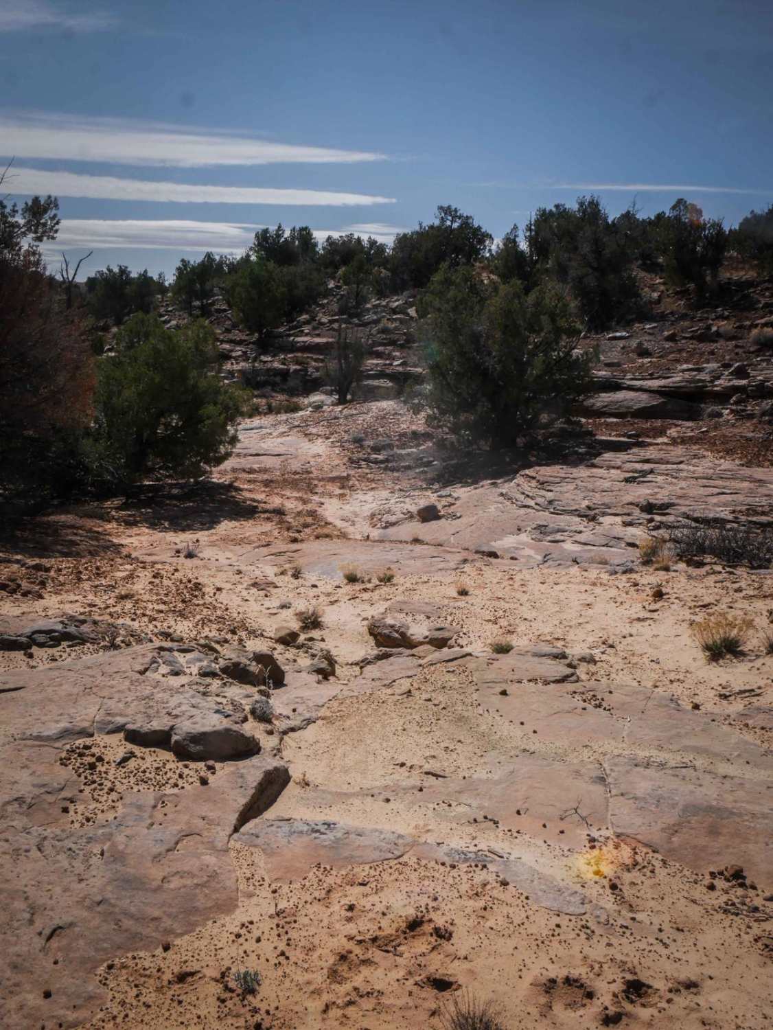 Trail 1