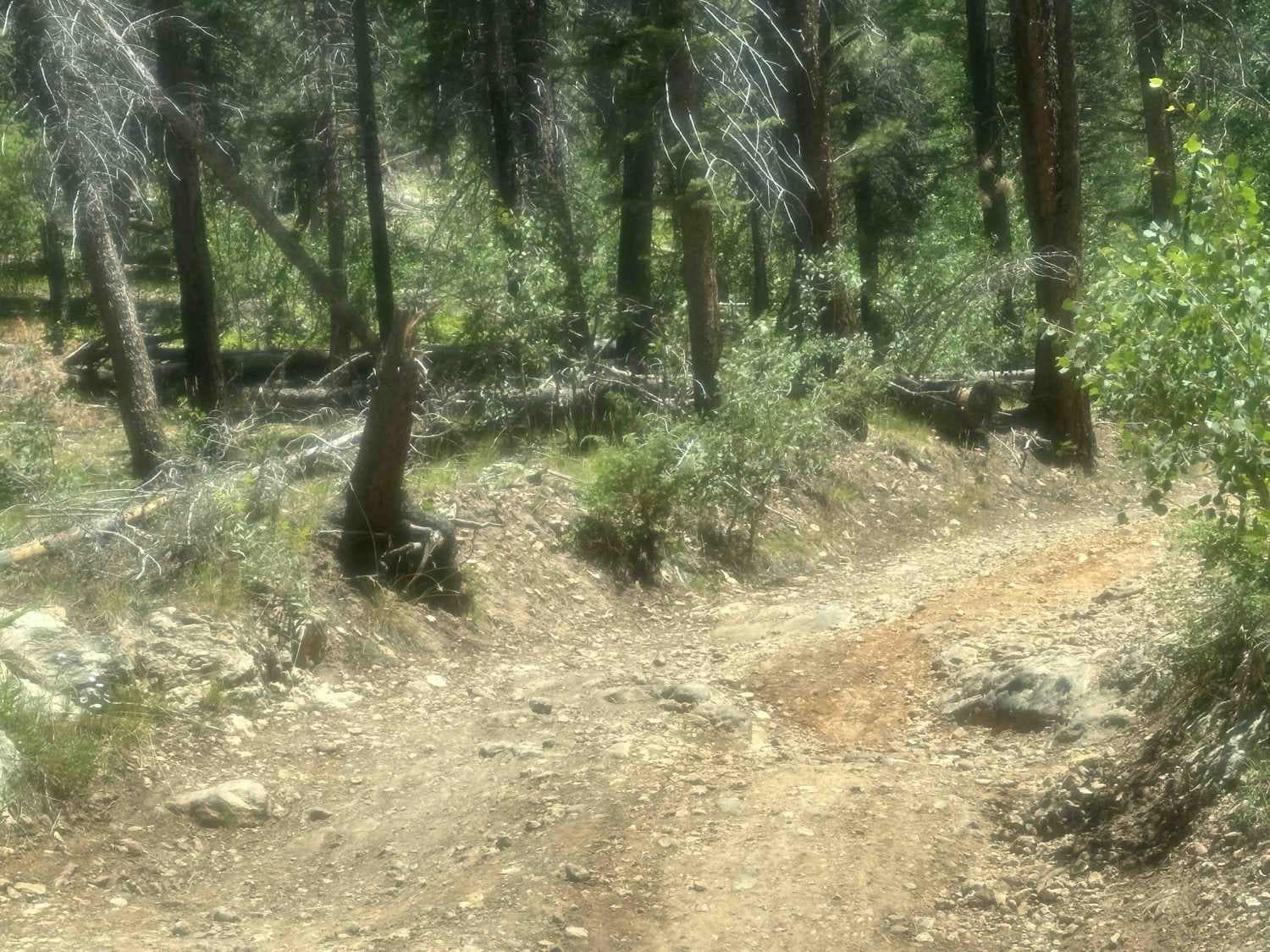 Point Sublime Trail - South Entrance