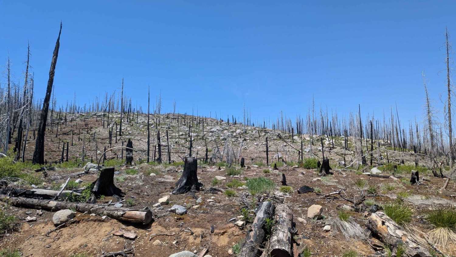 Monon and Horseshoe Lakes Trail