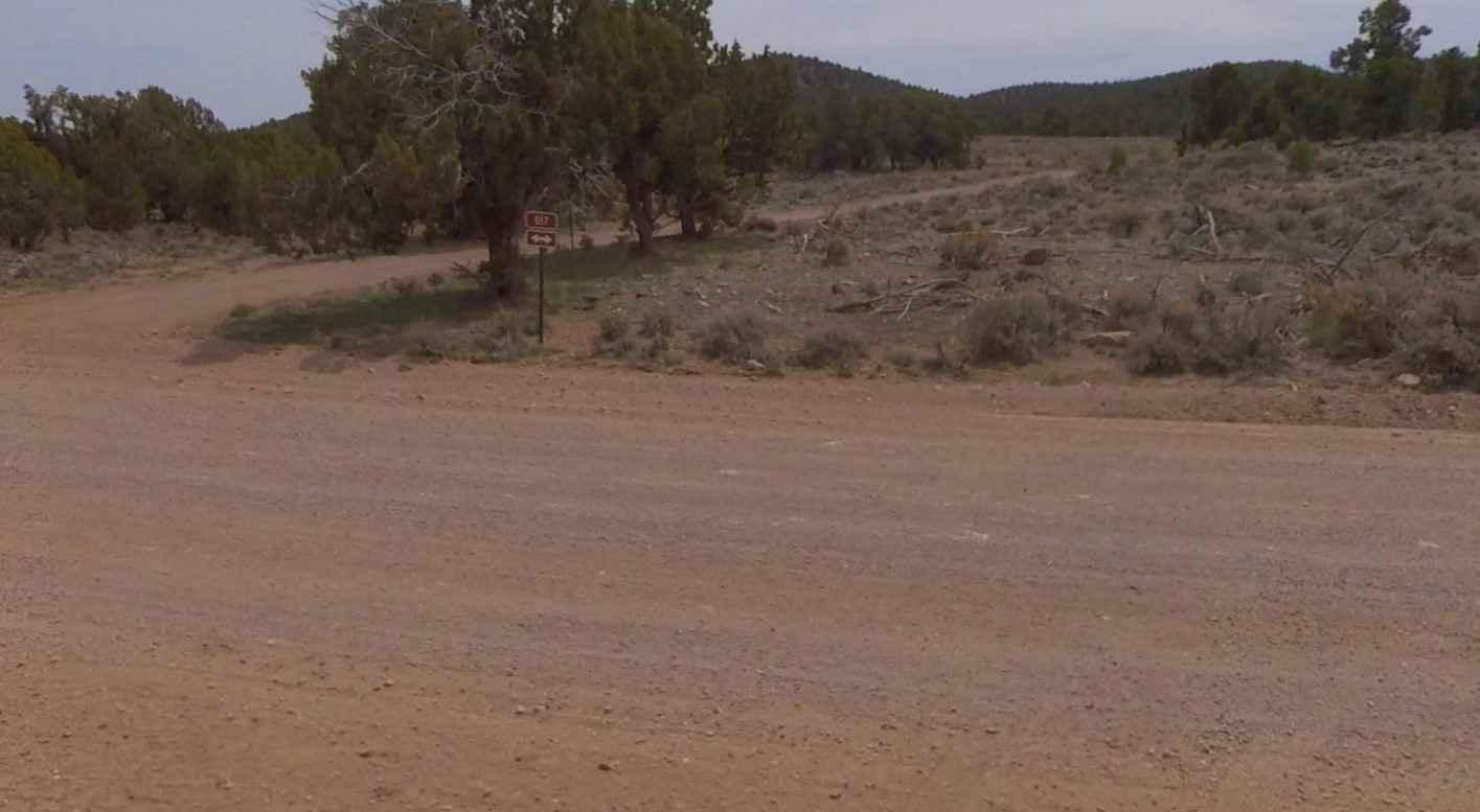 Dixie National Forest-FR31007
