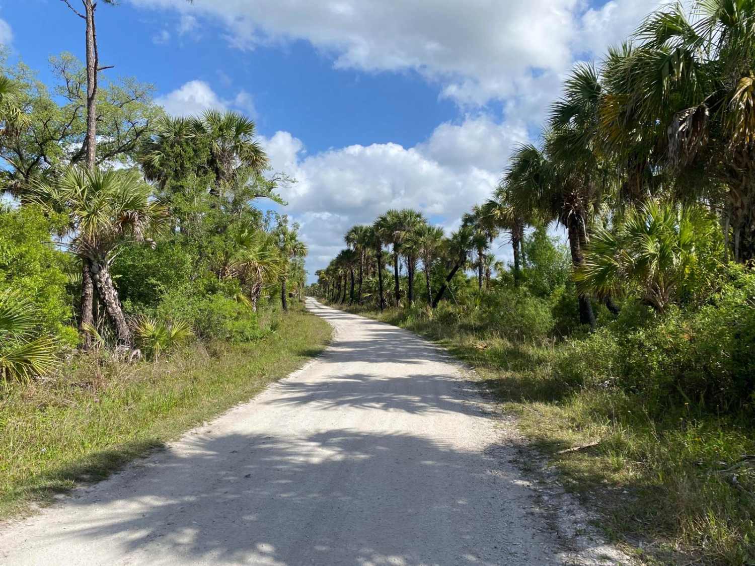 Ridge Trail