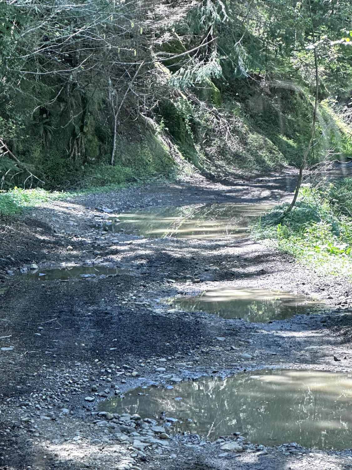 Poch Peak Trail