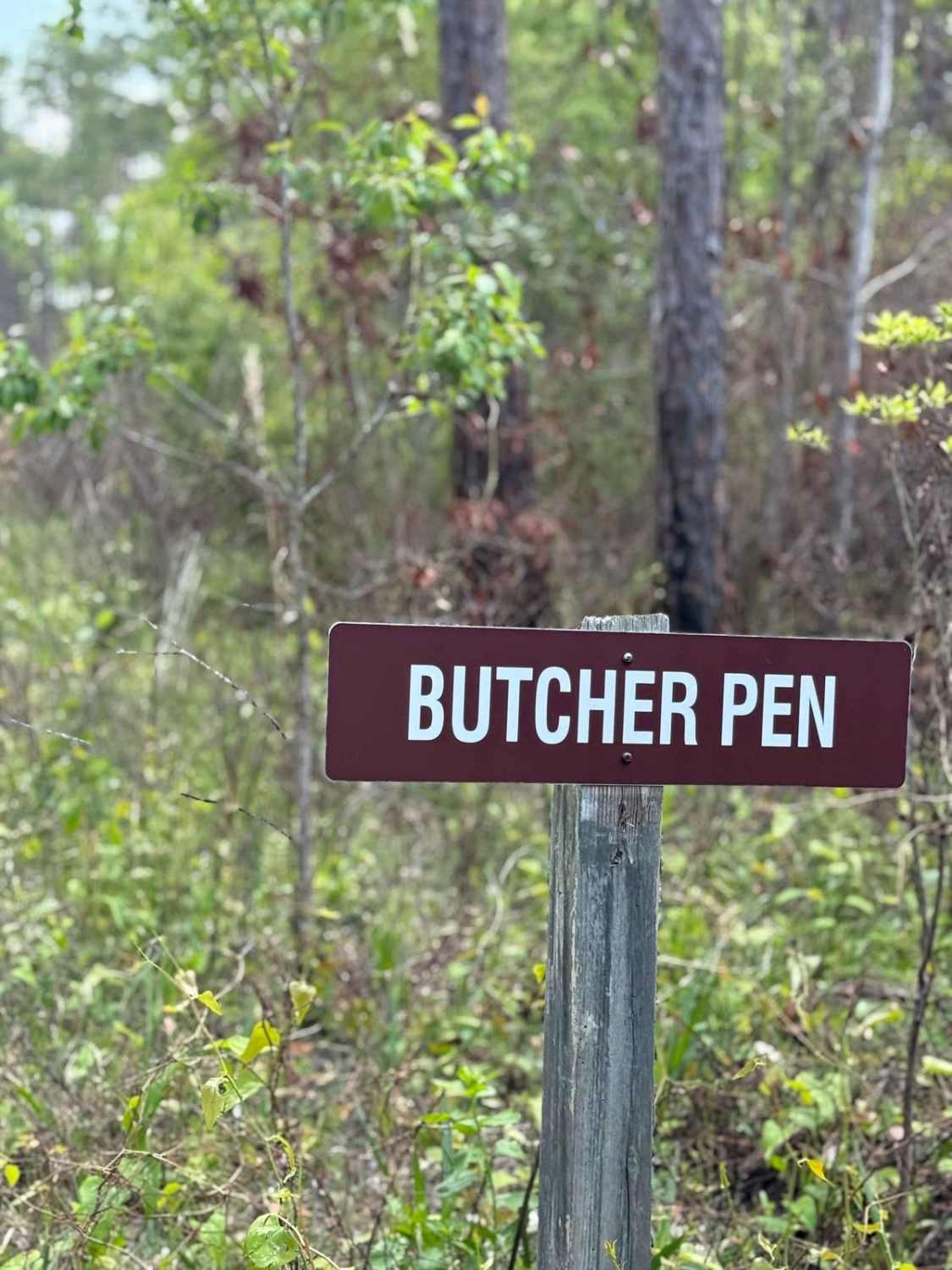 Butcher Pen Road