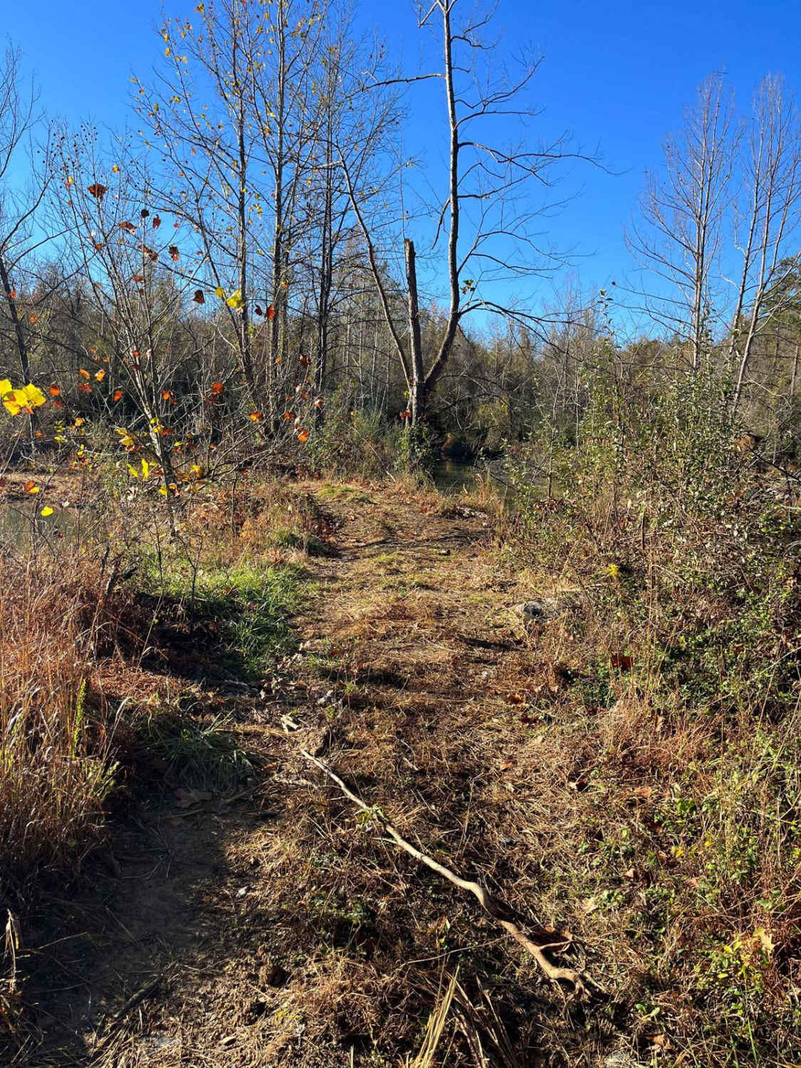 Open Ponds Trail