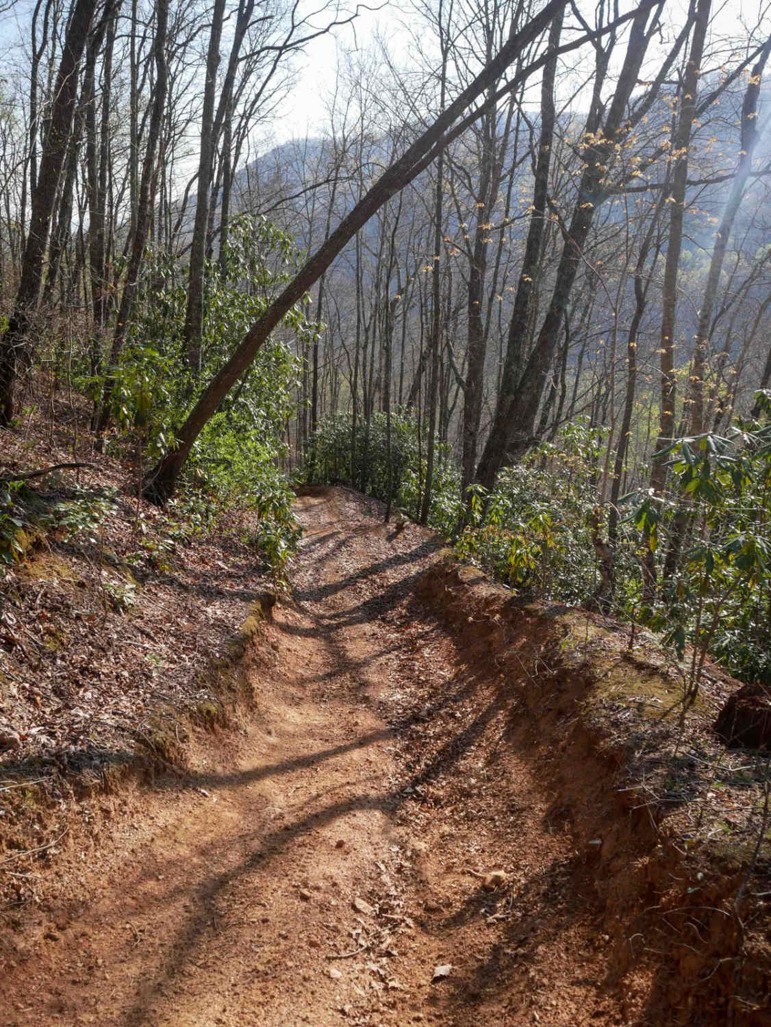 Trail 8 (Most Difficult - One Way)