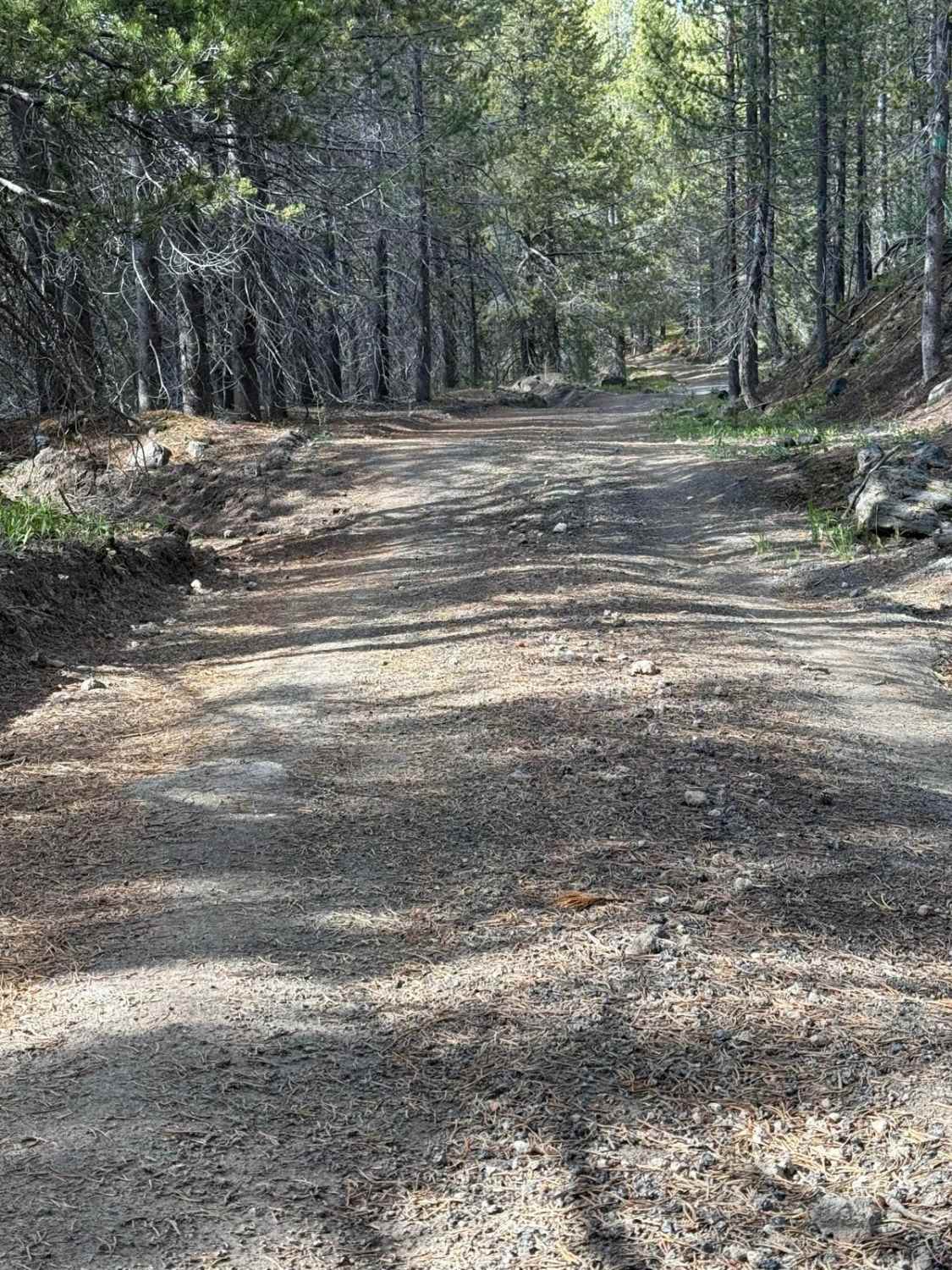 Frog Pond Road