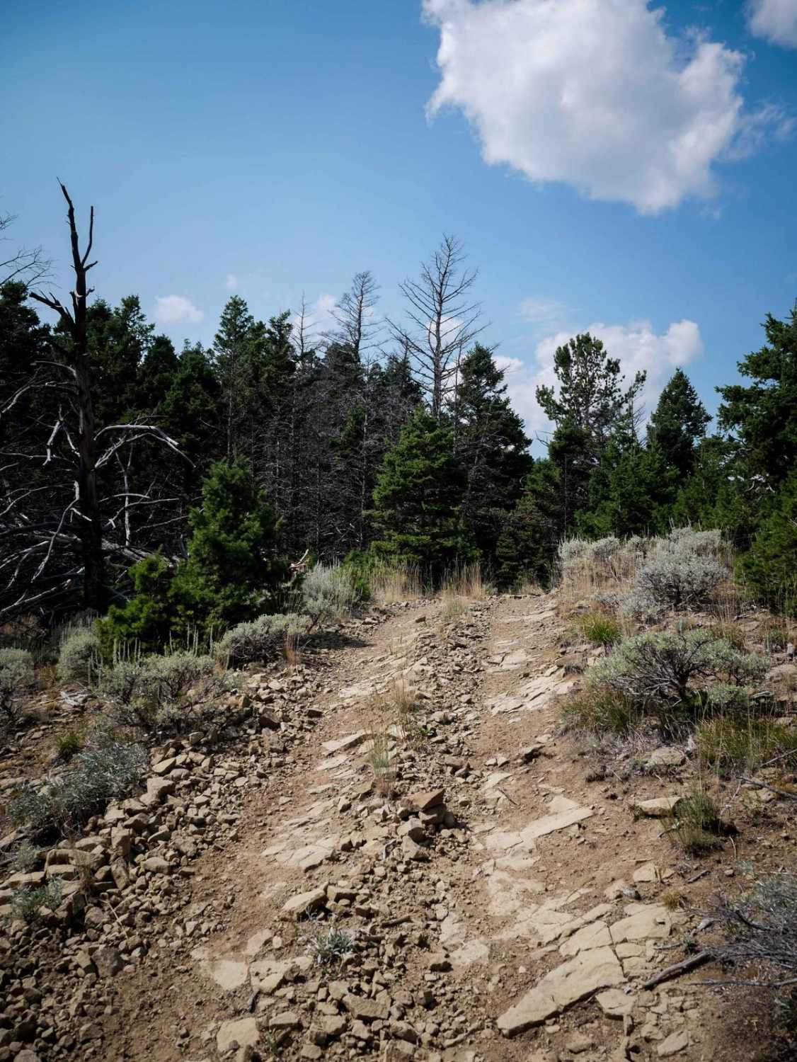 Willow Creek South ATV 
