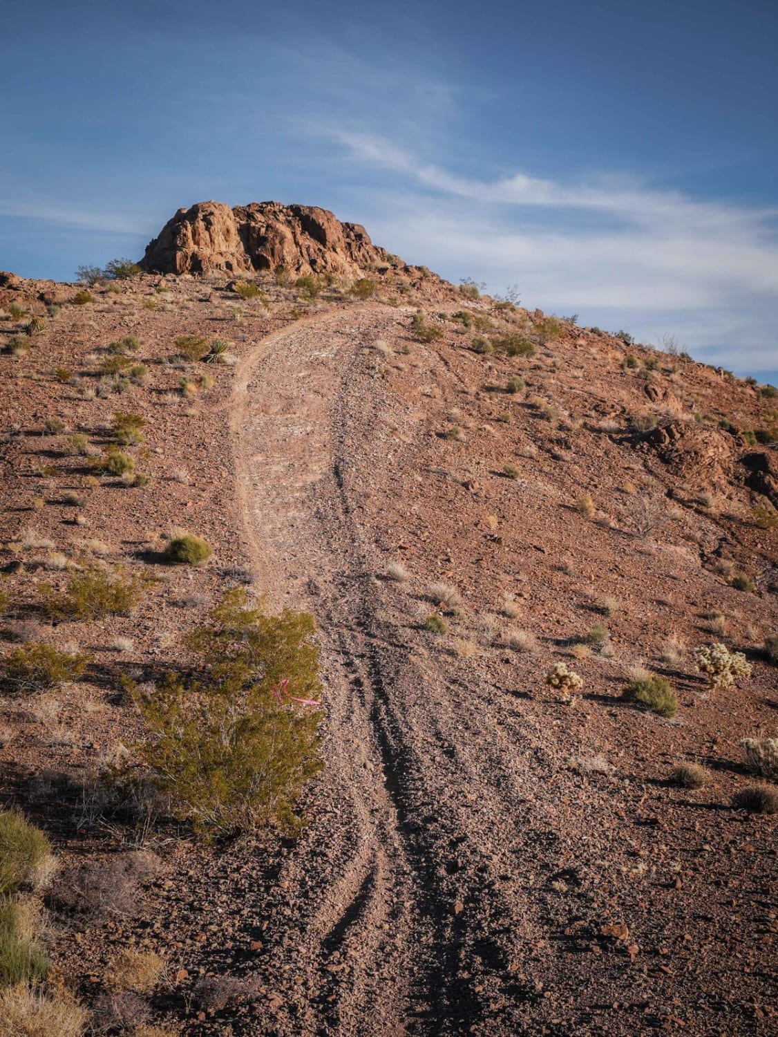 Nelson Single Track 
