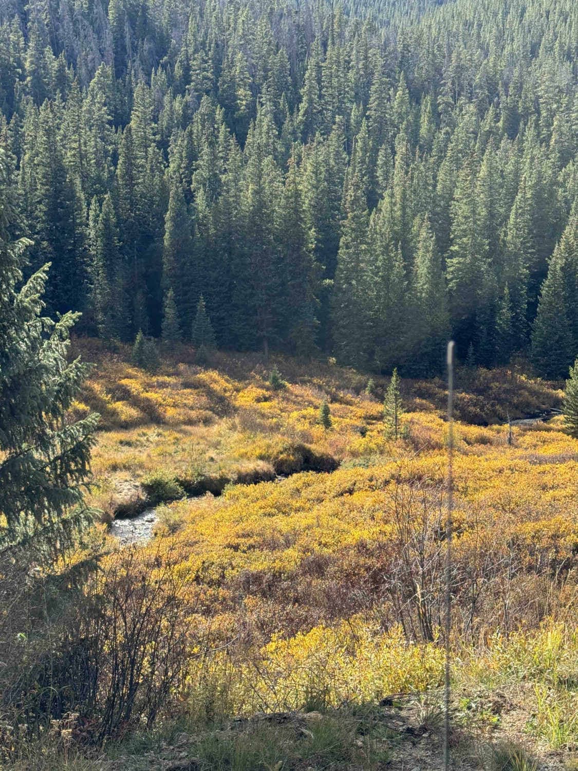 Keystone Gulch Trail