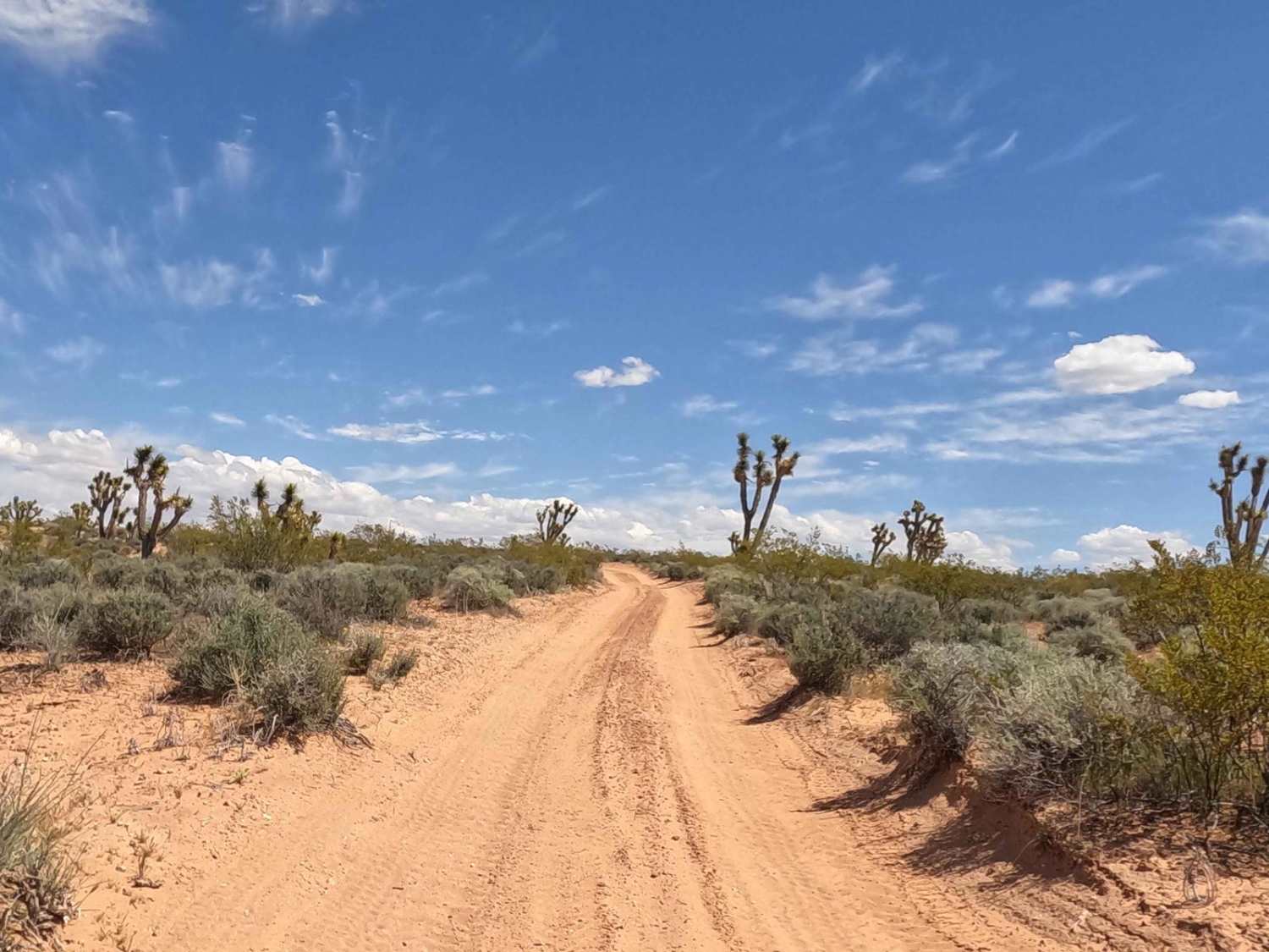 Old Mormon Wagon Trail (West)