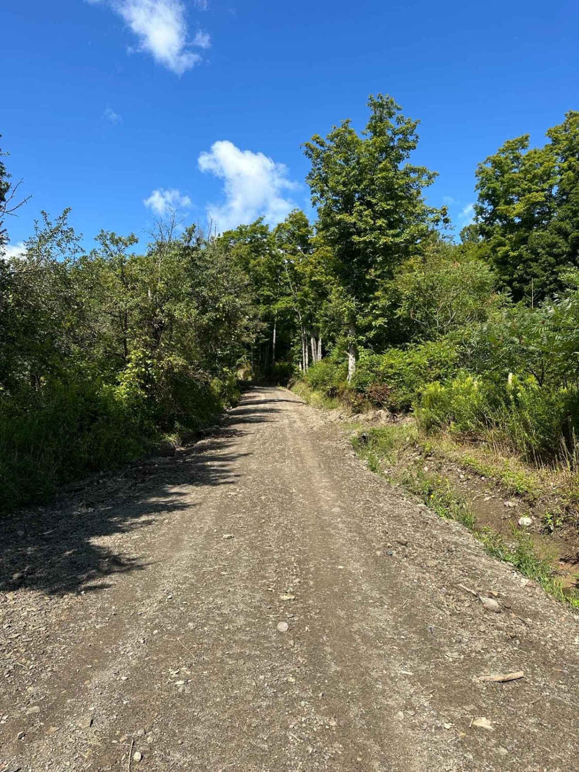 Ridge Road