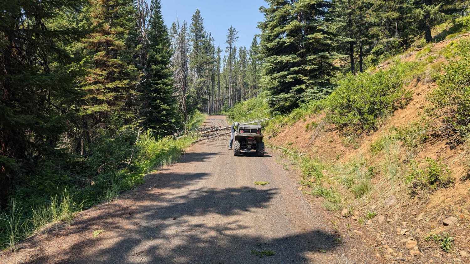 FS 536-Keating Ridge Road
