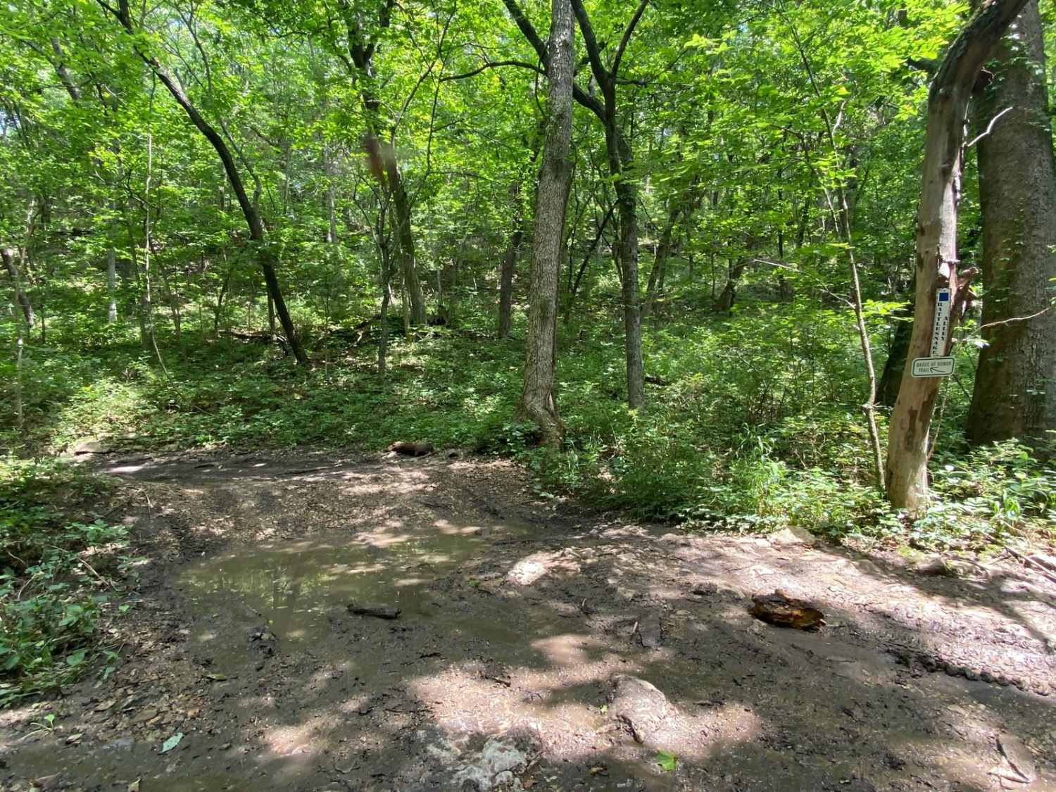 Rattlesnake Alley