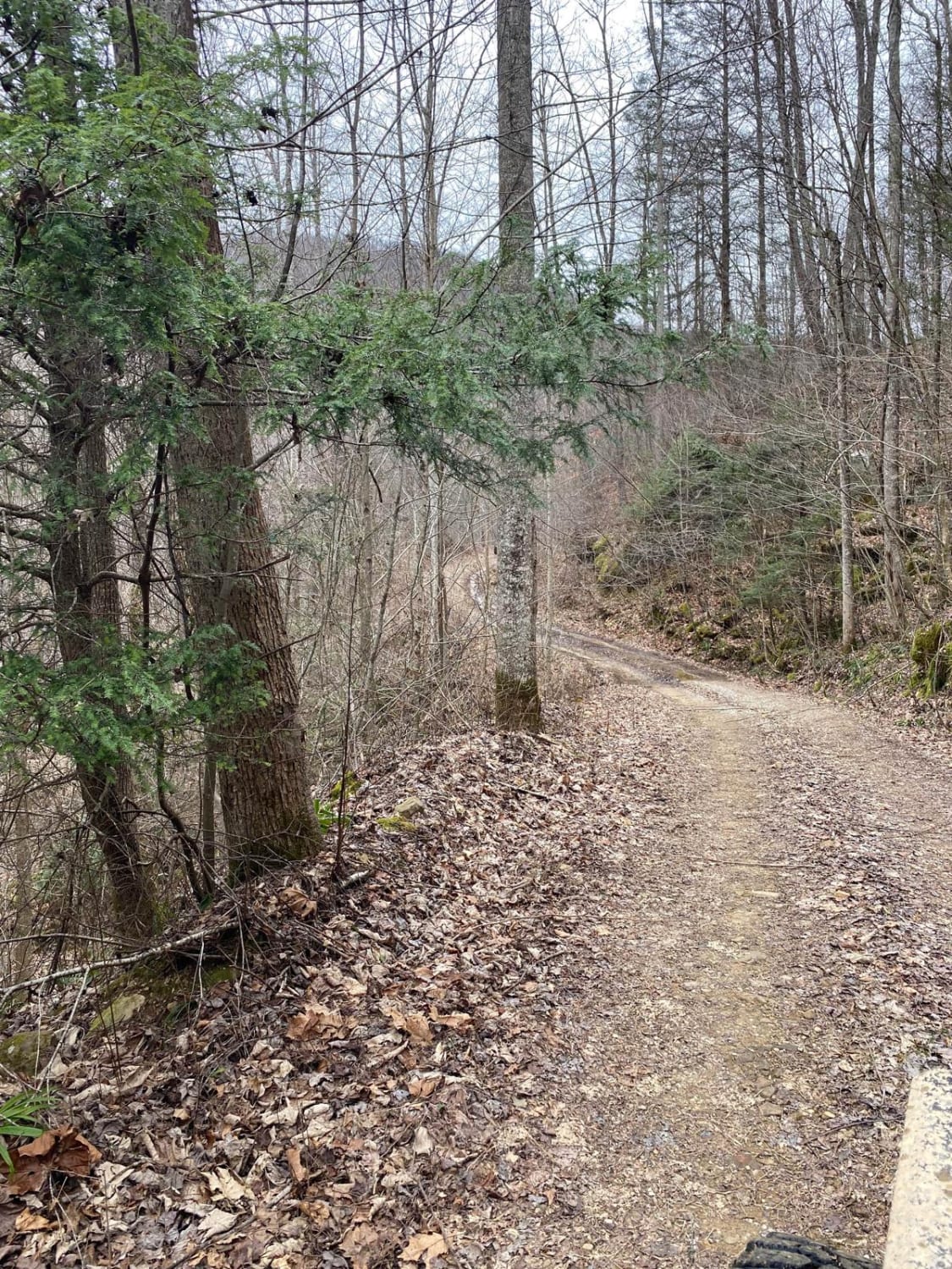 Trail 86 Windrock 