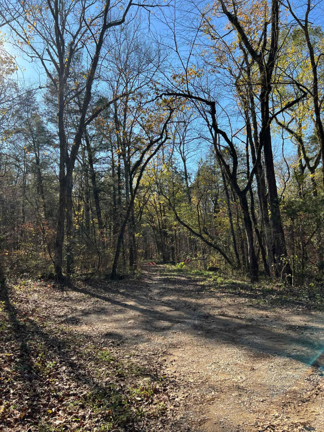 Northwest Road - FS 208 EA 