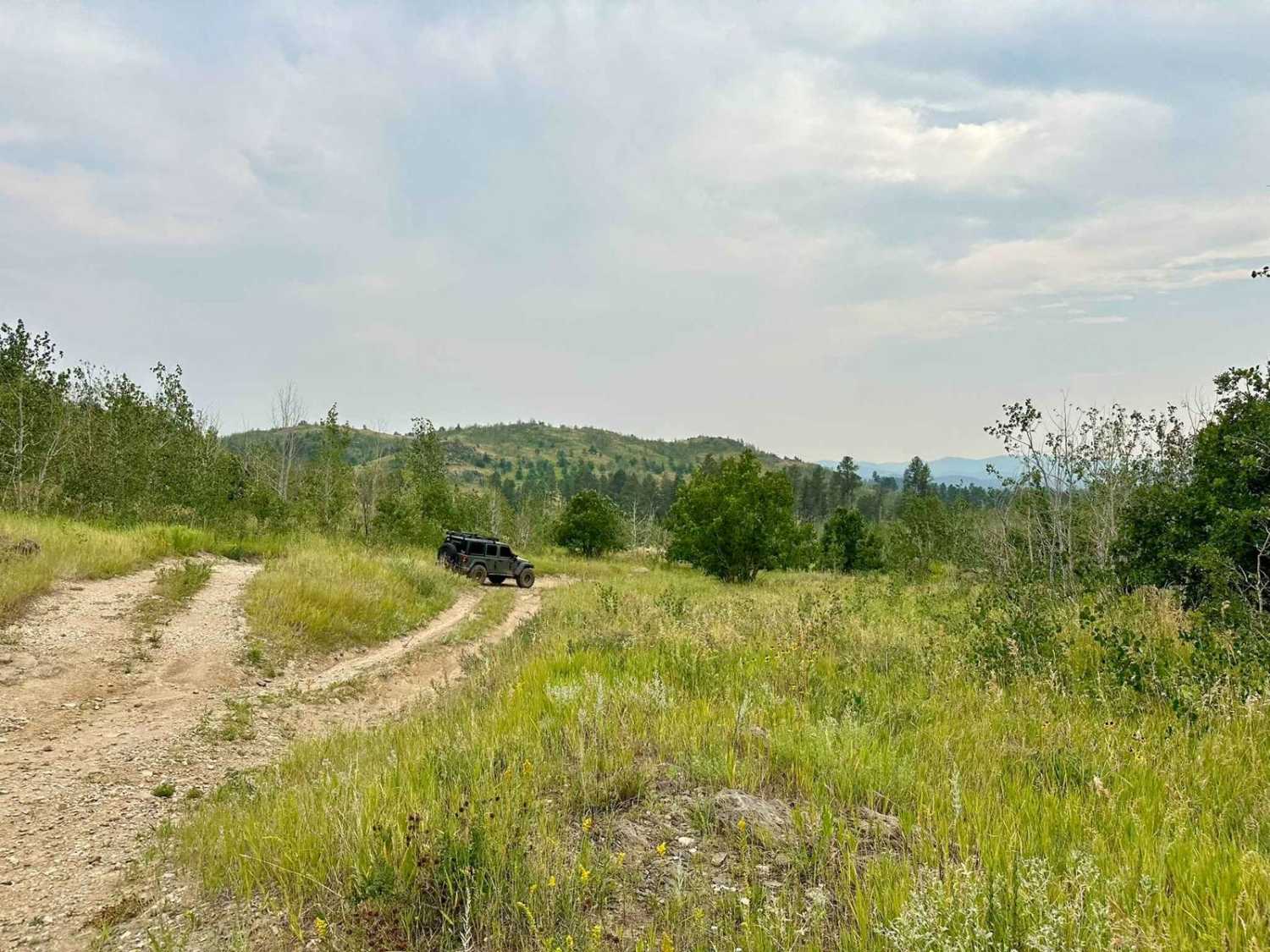 Turkey Ridge - 719