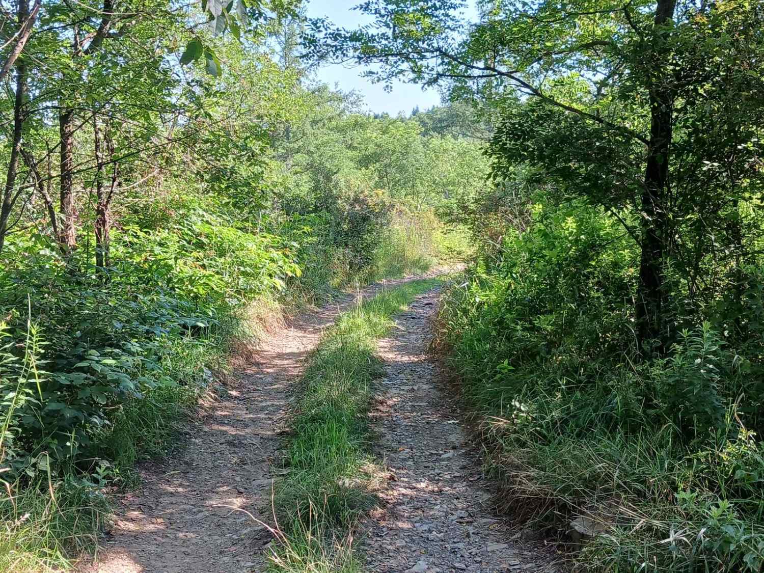 Trail 12R - Rock Run Recreation Area